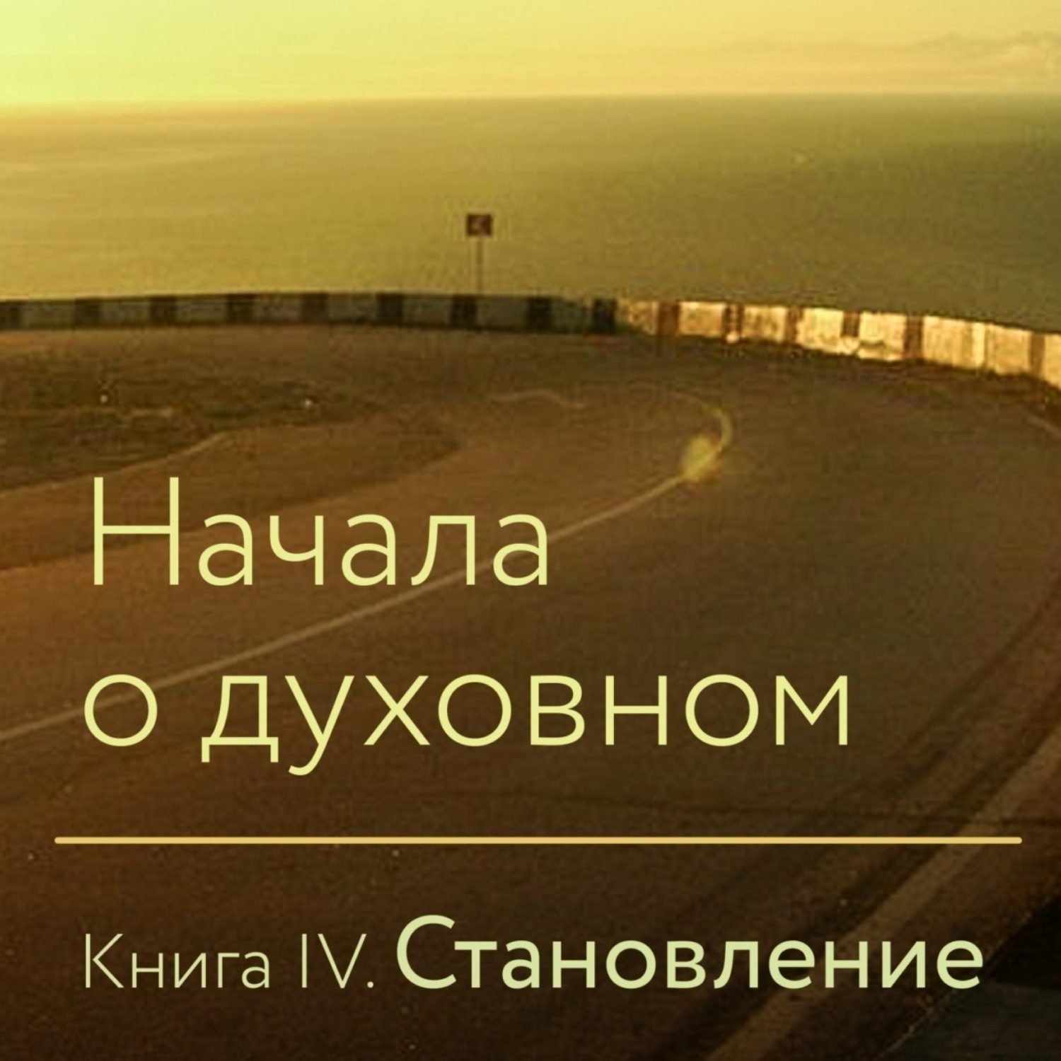 Обложка книги «Начала о духовном. Книга IV. Становление»