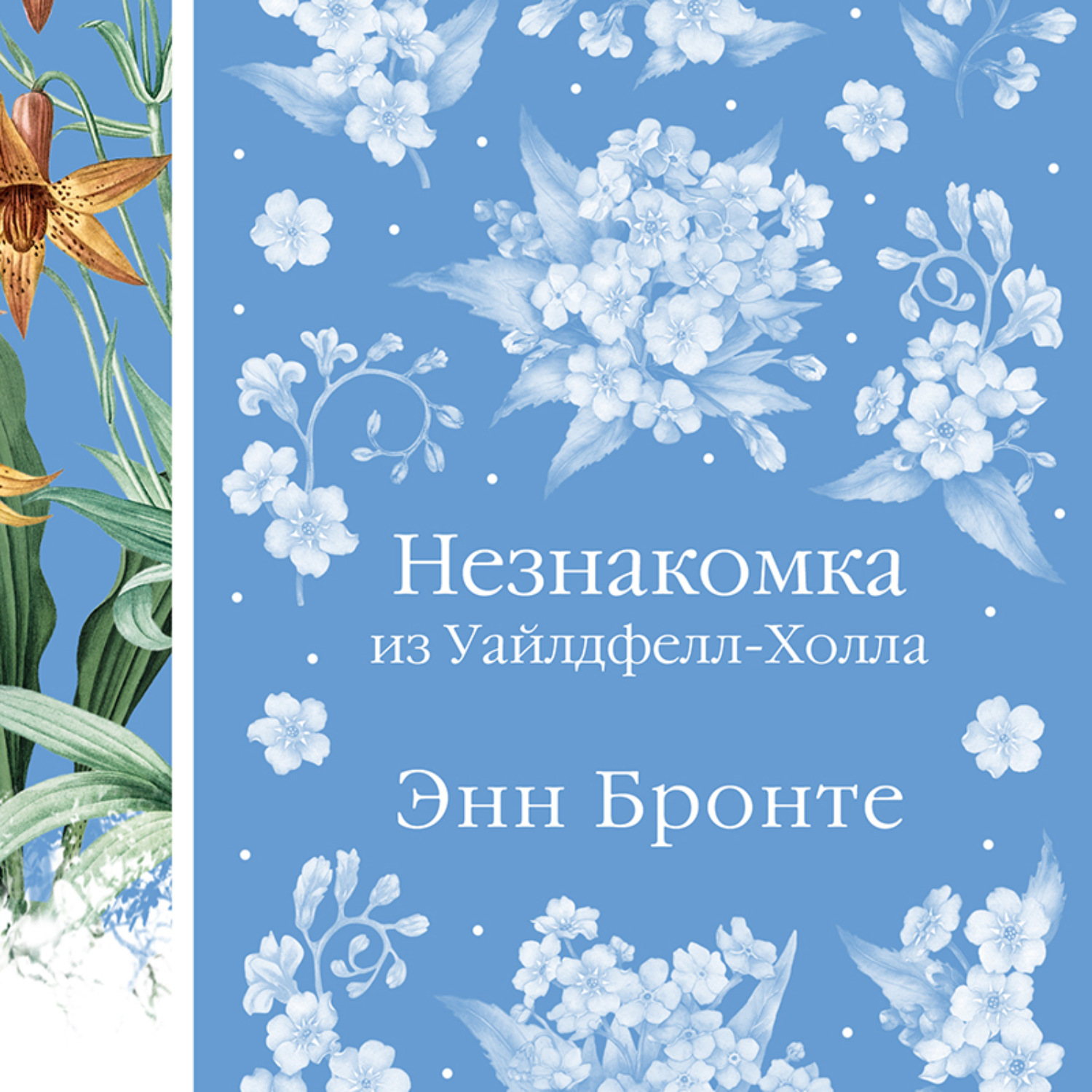 Обложка книги «Незнакомка из Уайлдфелл-Холла»