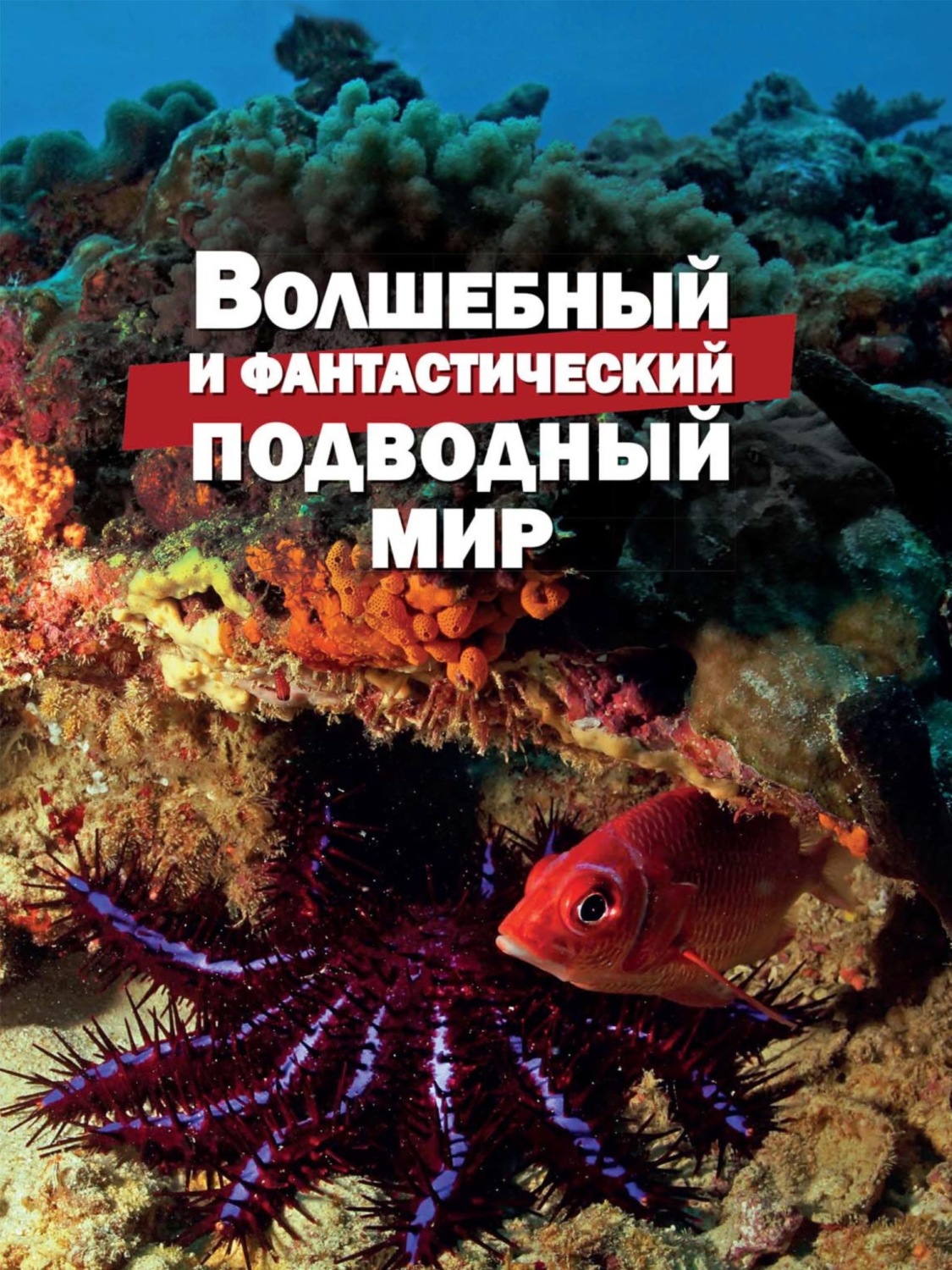 Обложка книги «Волшебный и фантастический подводный мир»