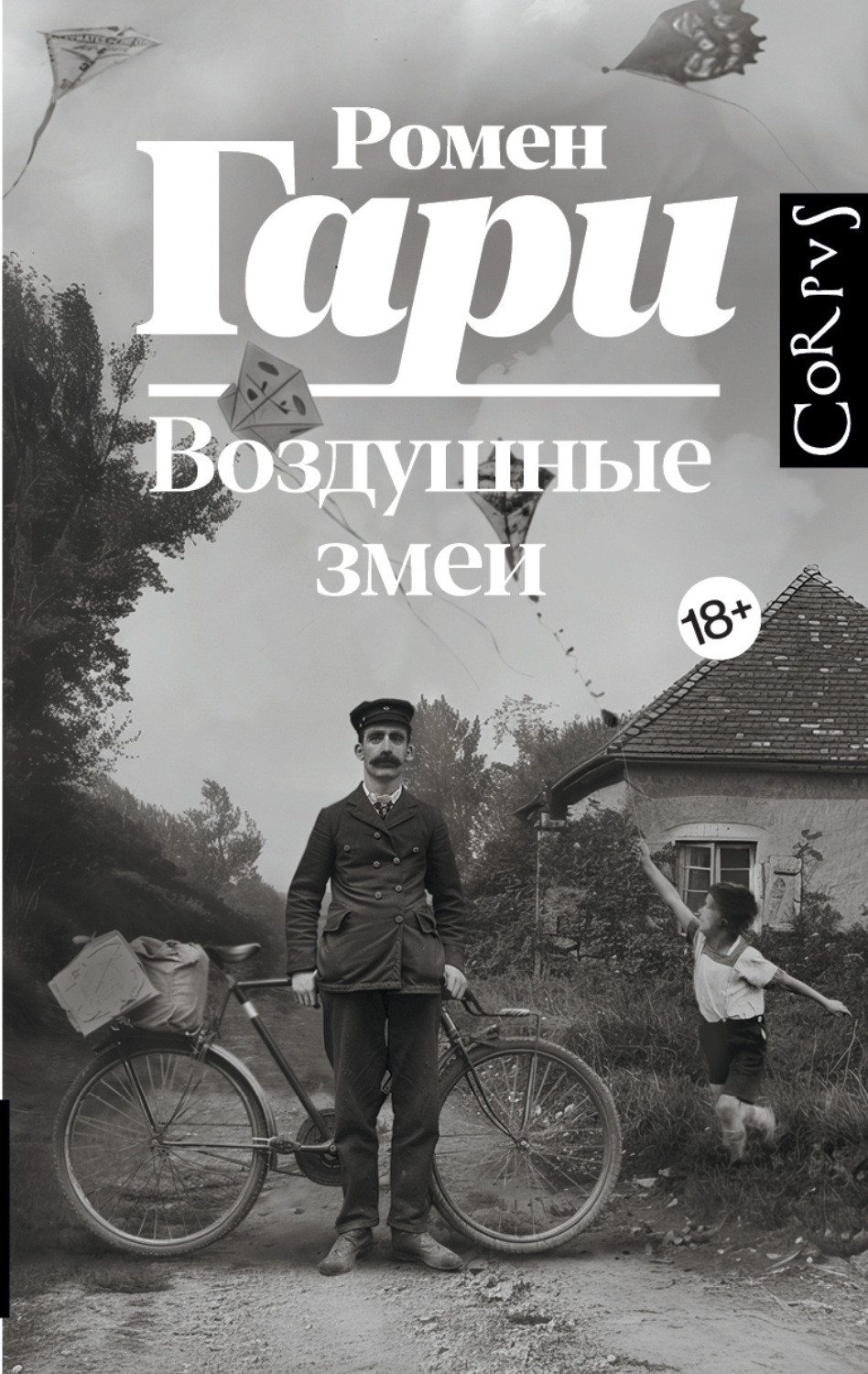 Обложка книги «Воздушные змеи»