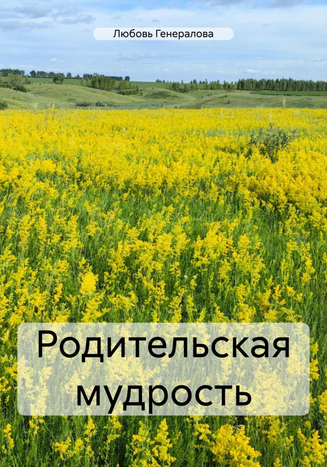 Обложка книги «Родительская мудрость»