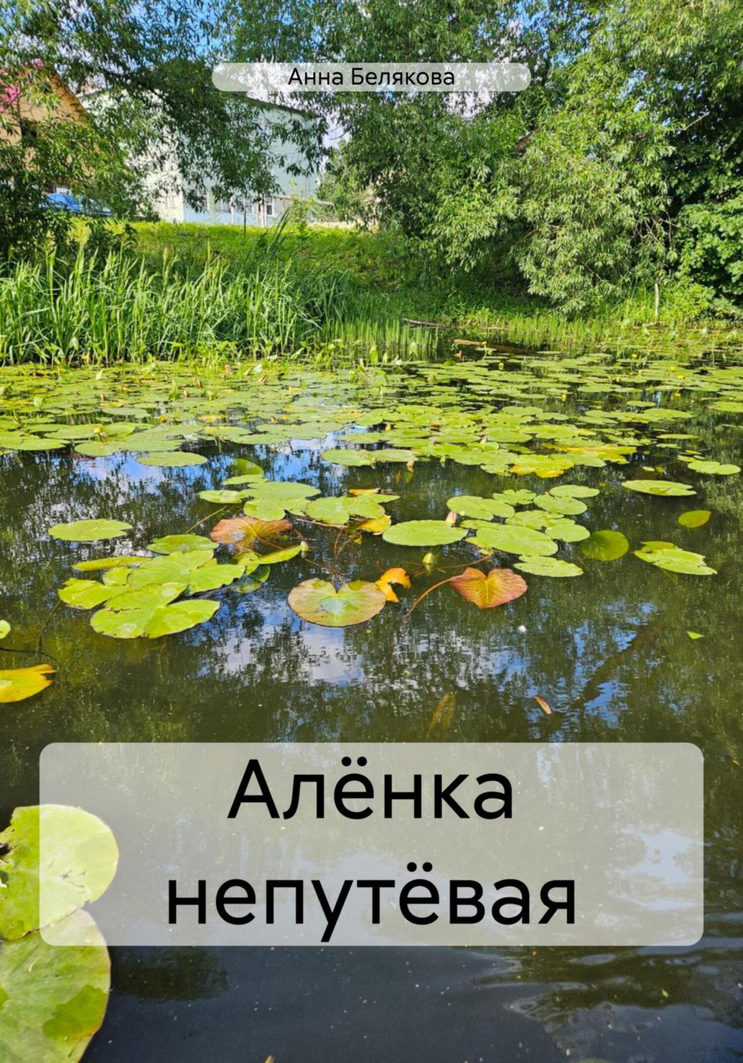 Обложка книги «Алёнка непутёвая»