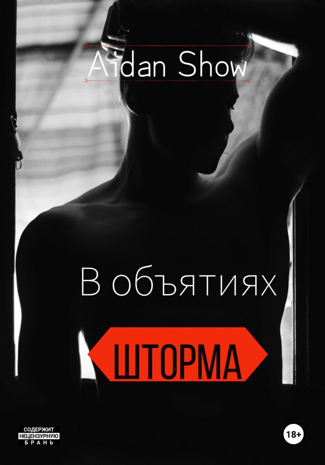 Обложка книги «В объятиях Шторма»