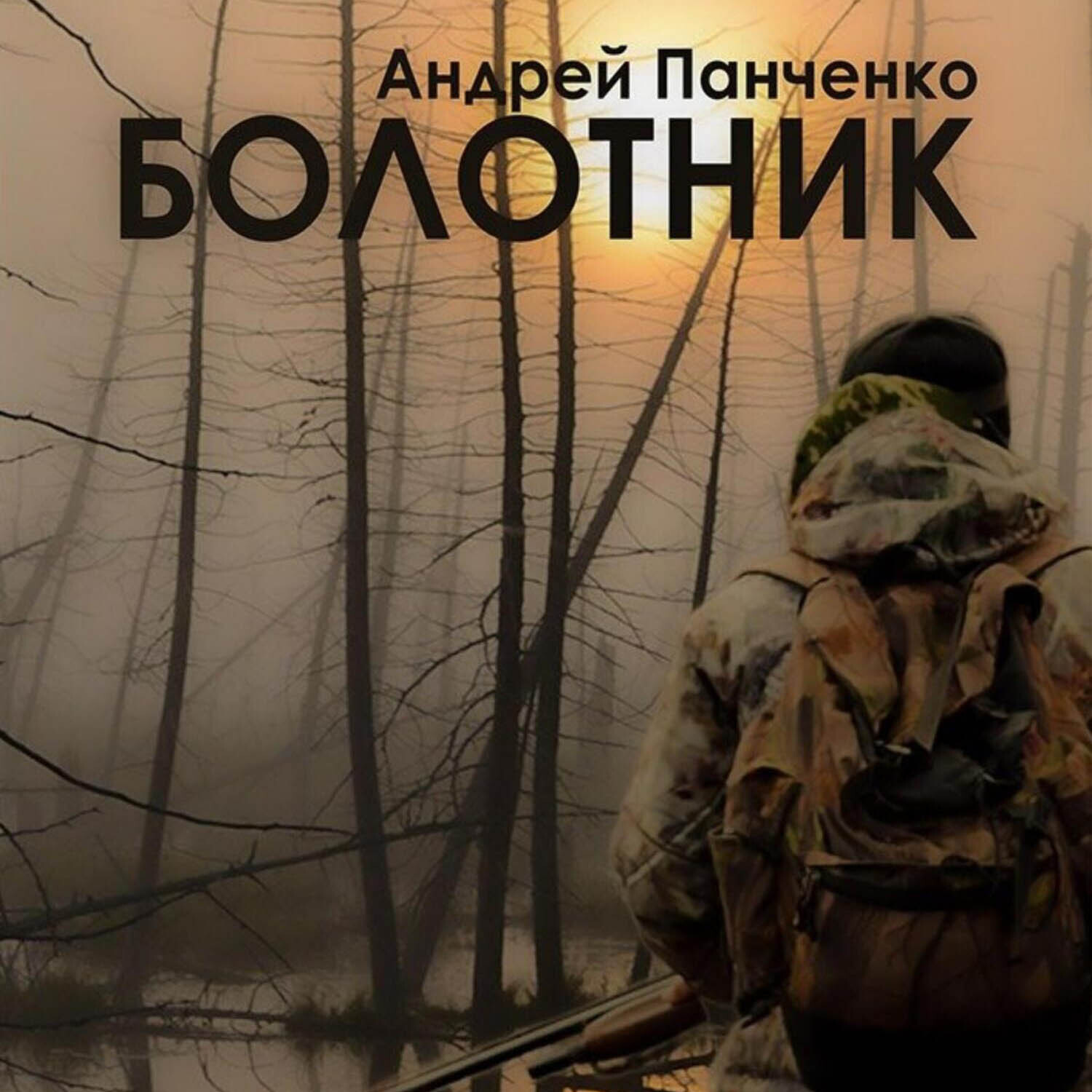 Обложка книги «Болотник. Книга 2»