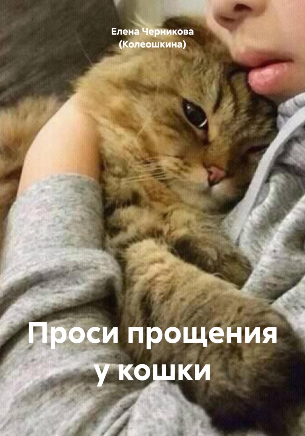 Обложка книги «Проси прощения у кошки»