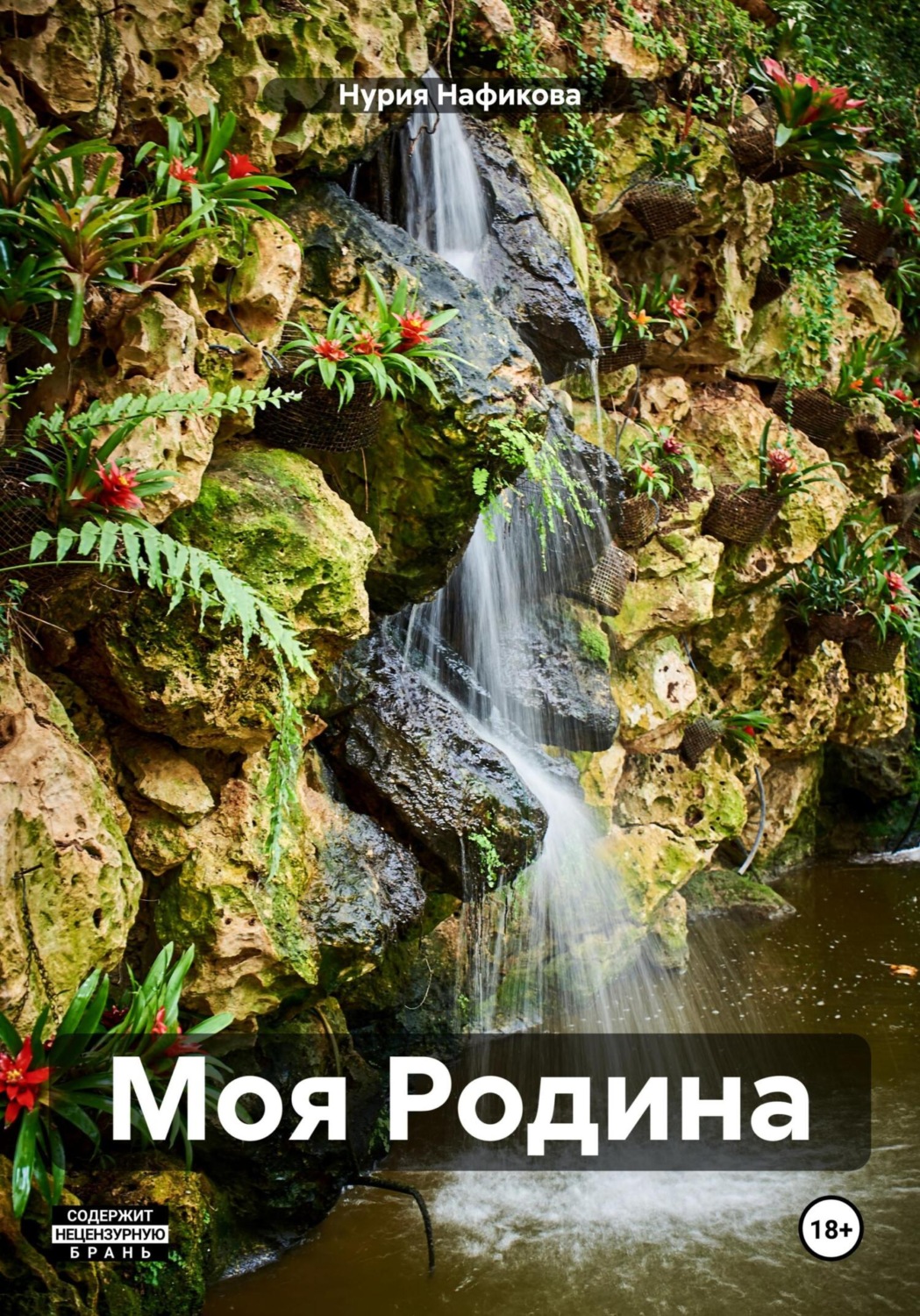 Обложка книги «Моя Родина»
