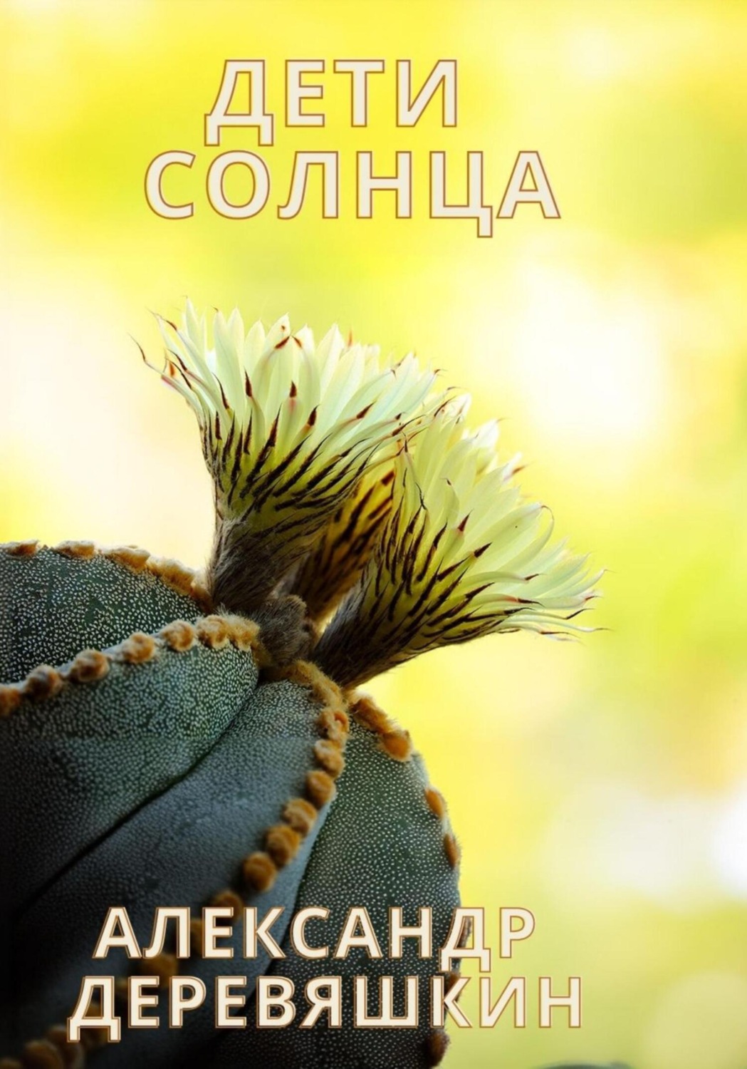Обложка книги «Дети солнца»