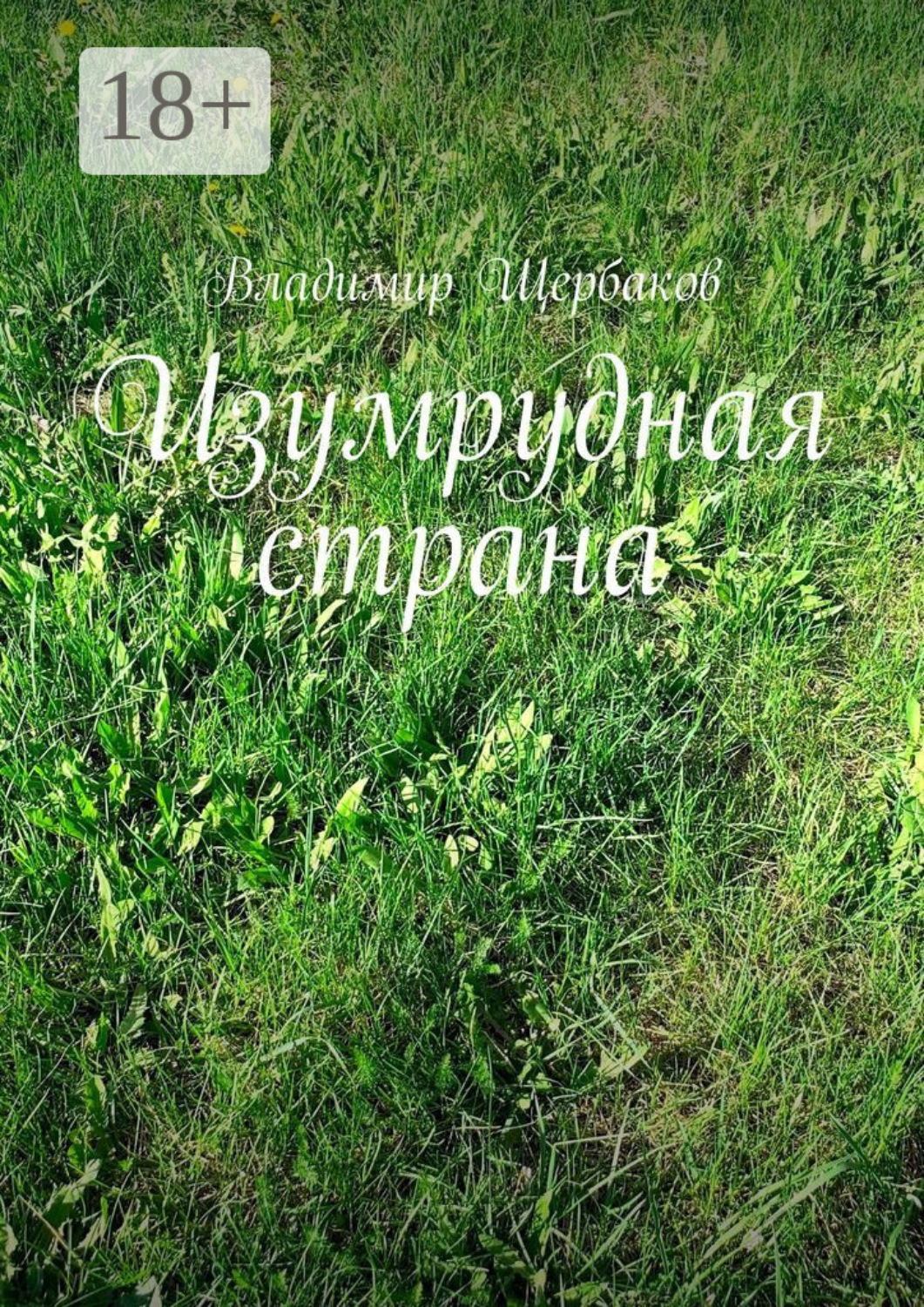 Обложка книги «Изумрудная страна»