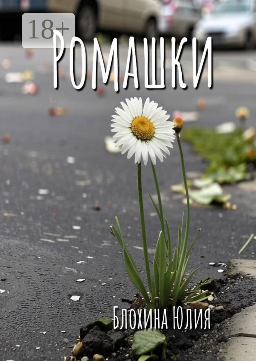 Обложка книги «Ромашки»