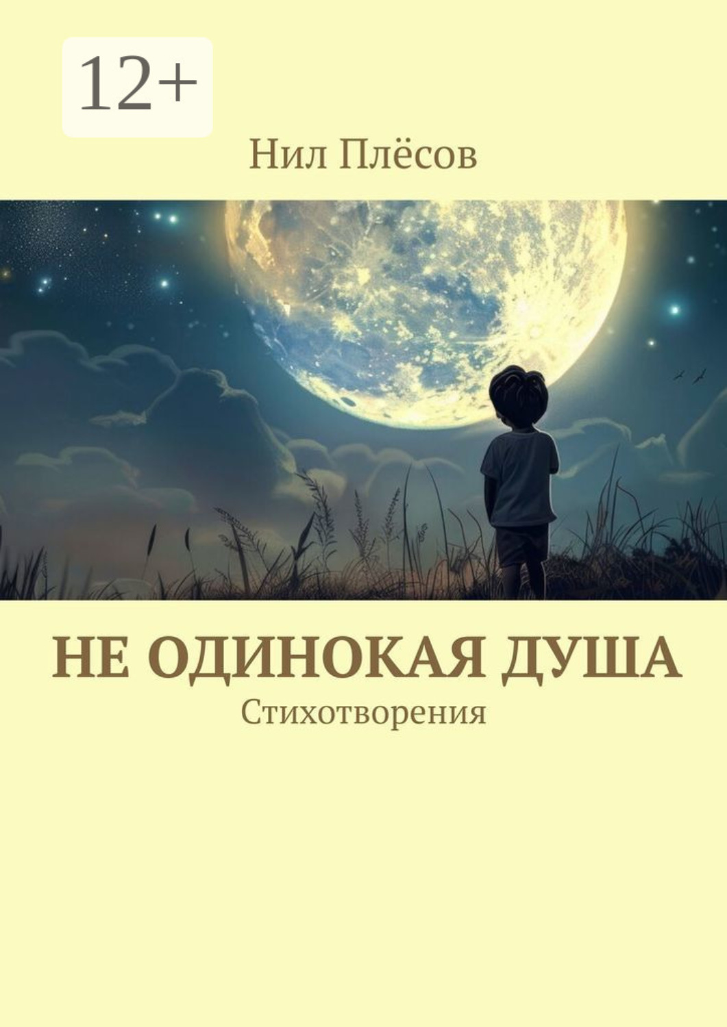 Обложка книги «Не одинокая душа. Стихотворения»