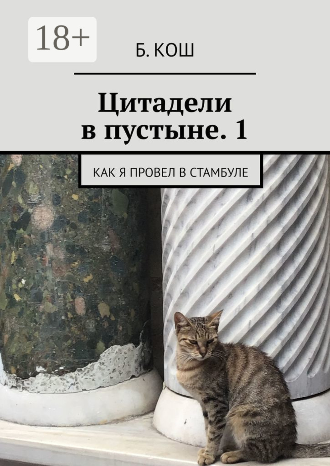 Обложка книги «Цитадели в пустыне. 1. Как я провел в Стамбуле»