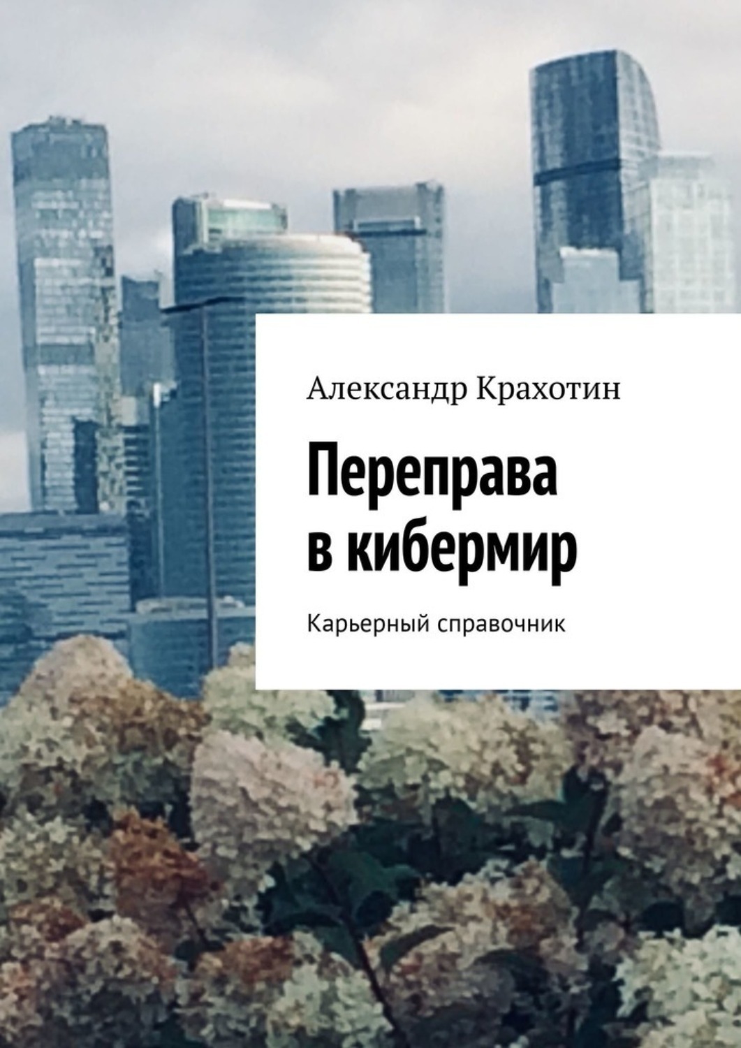 Обложка книги «Переправа в кибермир. Примерный карьерный справочник»