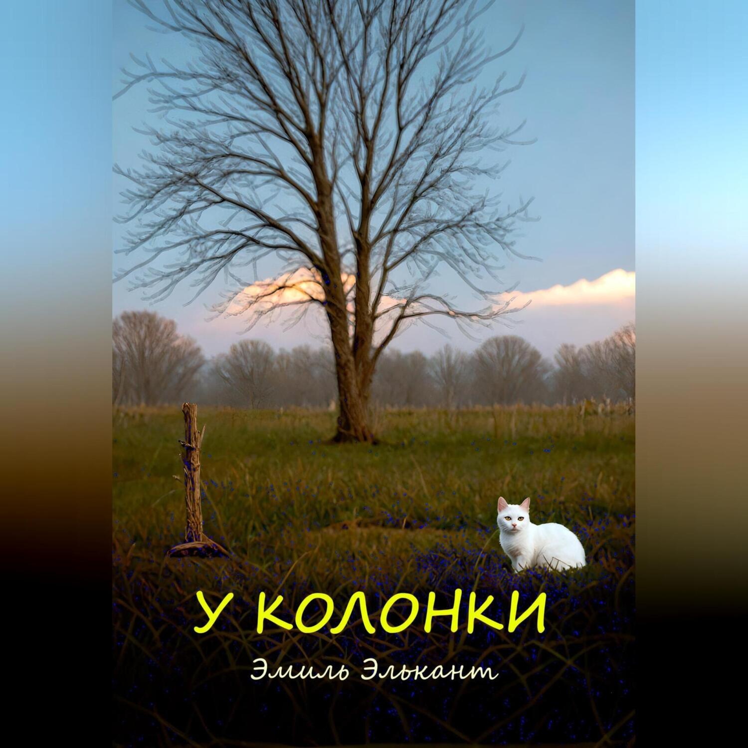 Обложка книги «У колонки»
