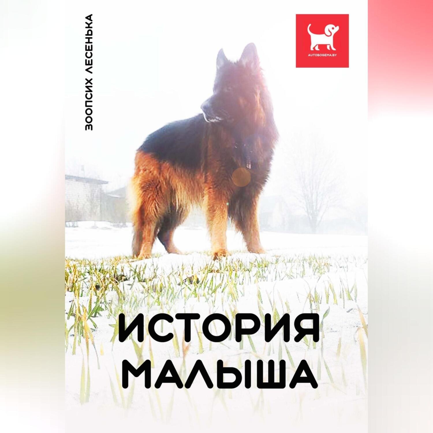 Обложка книги «История Малыша»