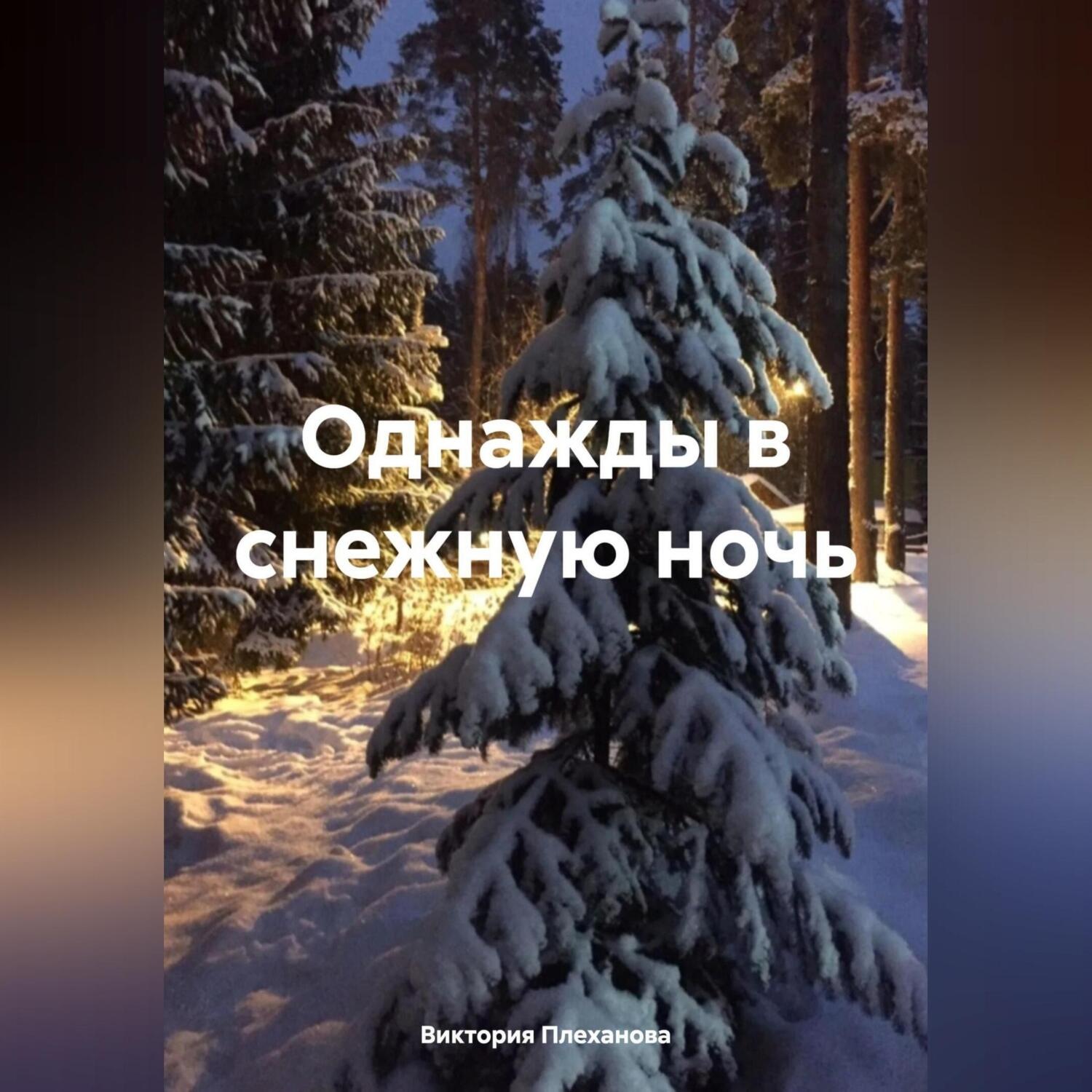 Обложка книги «Однажды в снежную ночь»