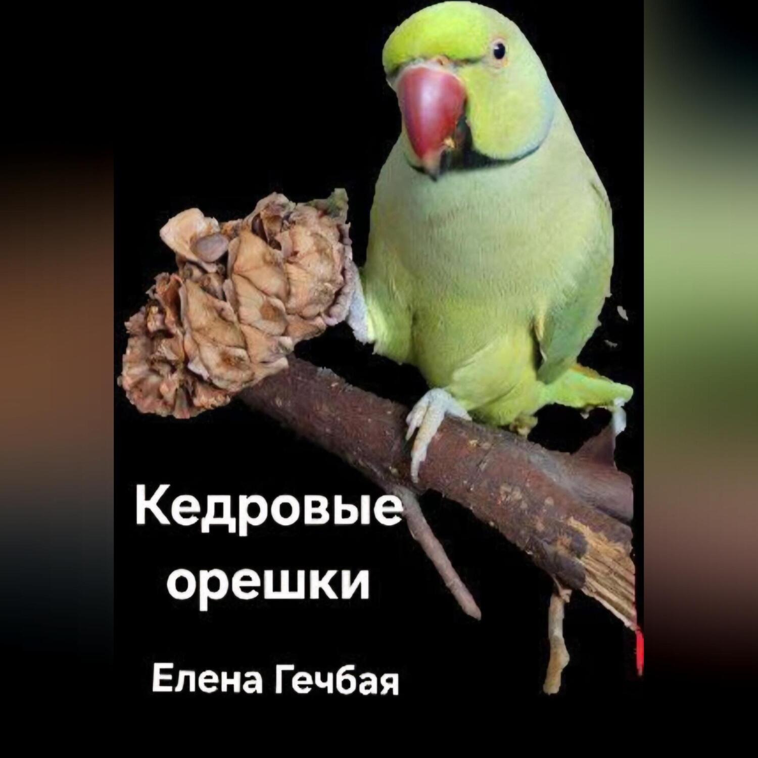 Обложка книги «История Изи Изумрудного. Кедровые орешки»