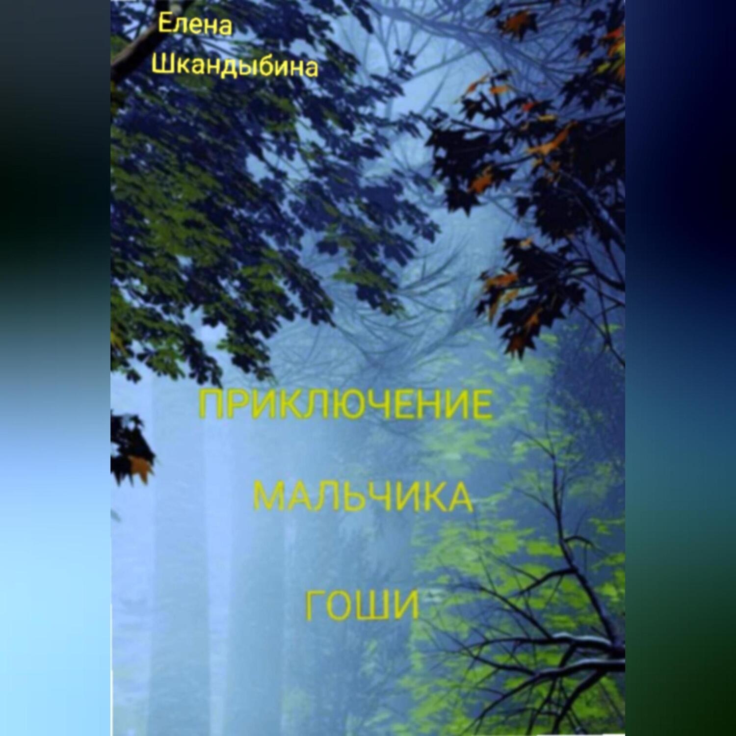 Обложка книги «Приключение мальчика Гоши»
