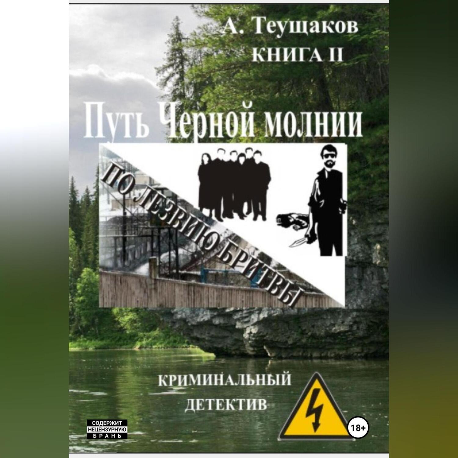 Обложка книги «Путь Черной молнии 2»