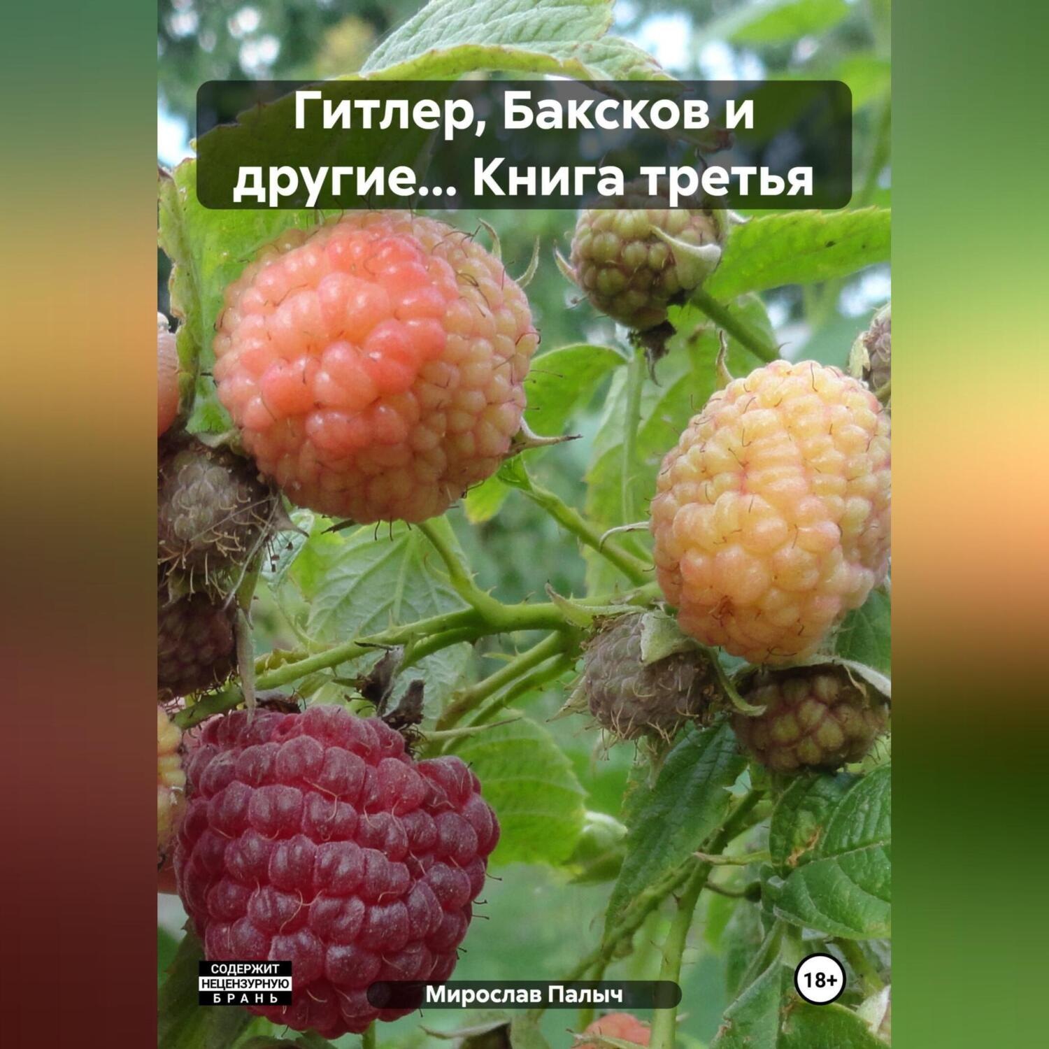 Обложка книги «Гитлер, Баксков и другие… Книга третья»