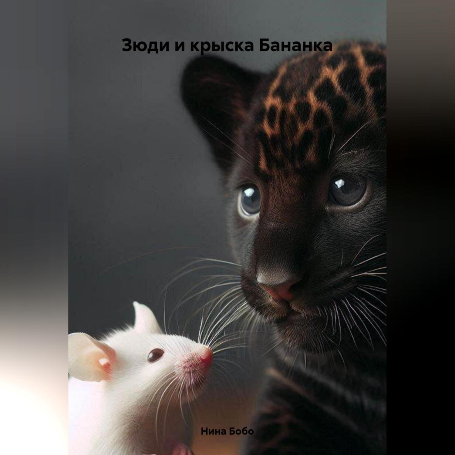 Обложка книги «Зюди и крыска Бананка»