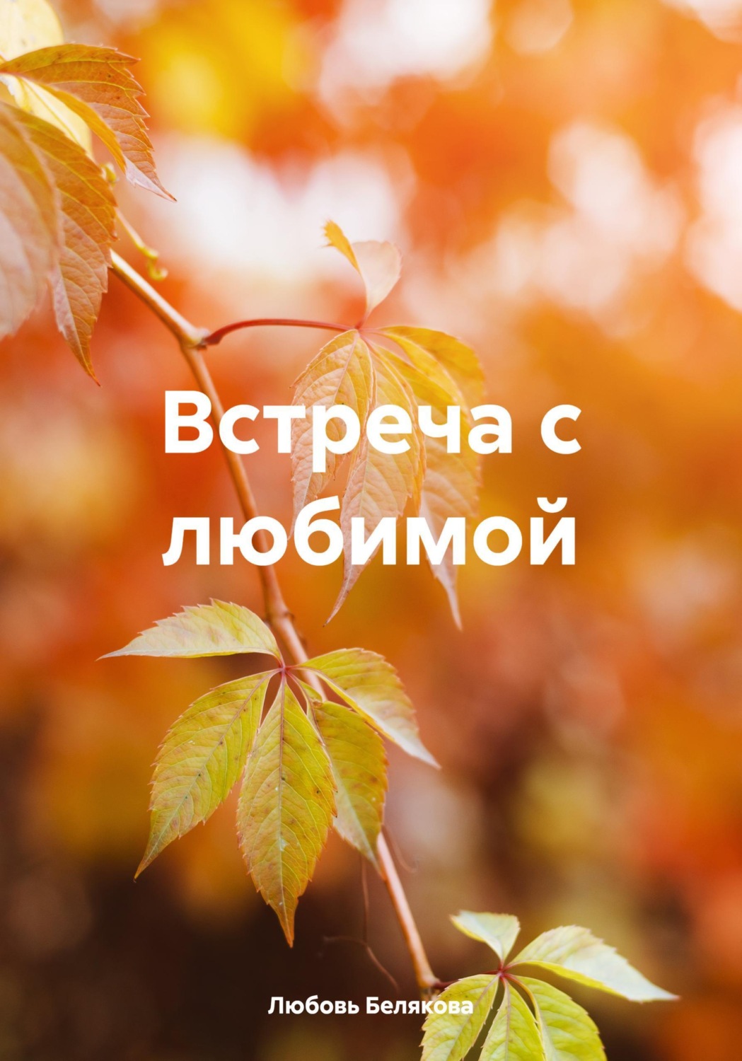 Обложка книги «Встреча с любимой»