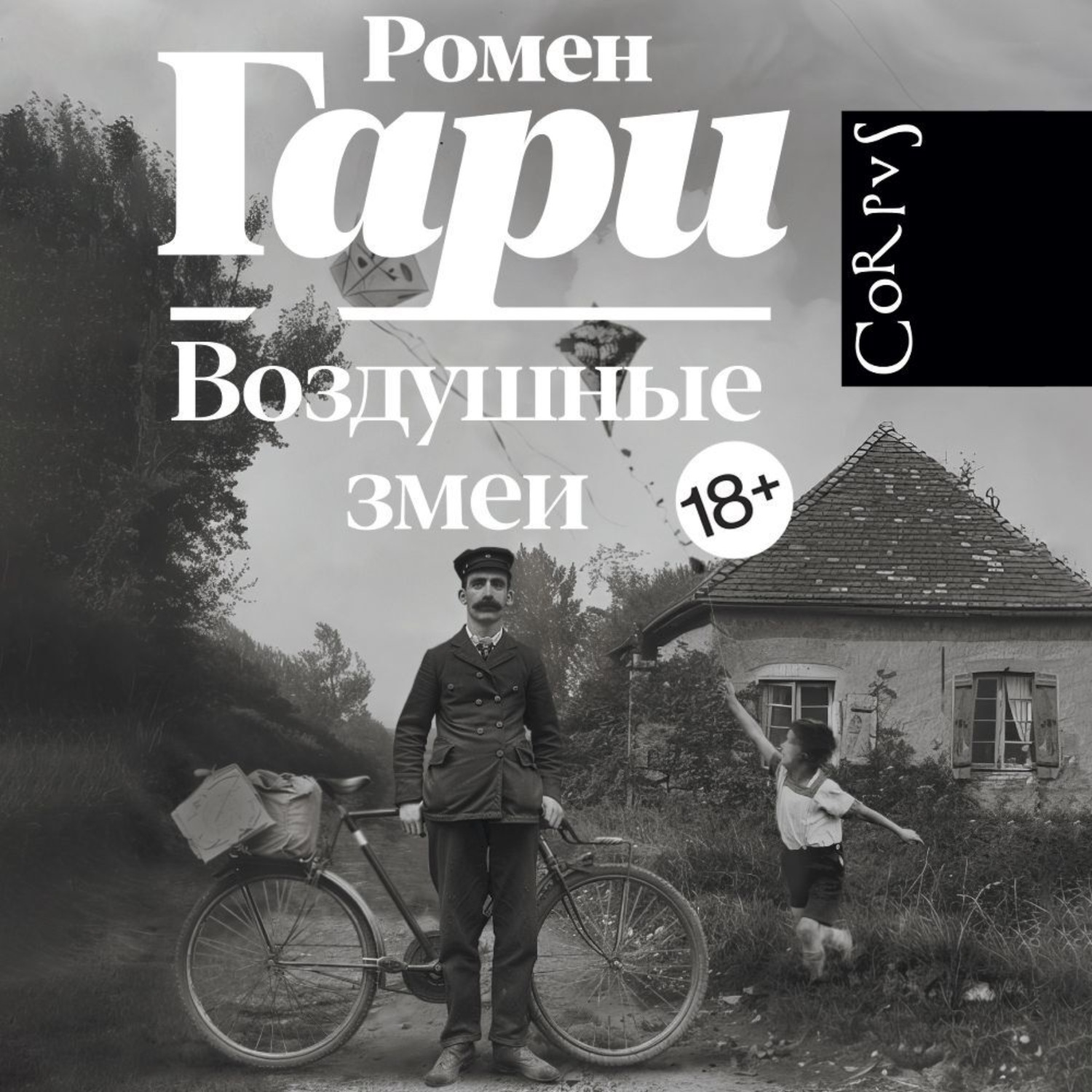 Обложка книги «Воздушные змеи»