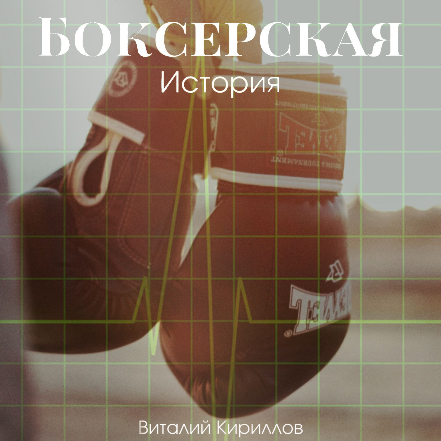 Обложка книги «Боксерская история»
