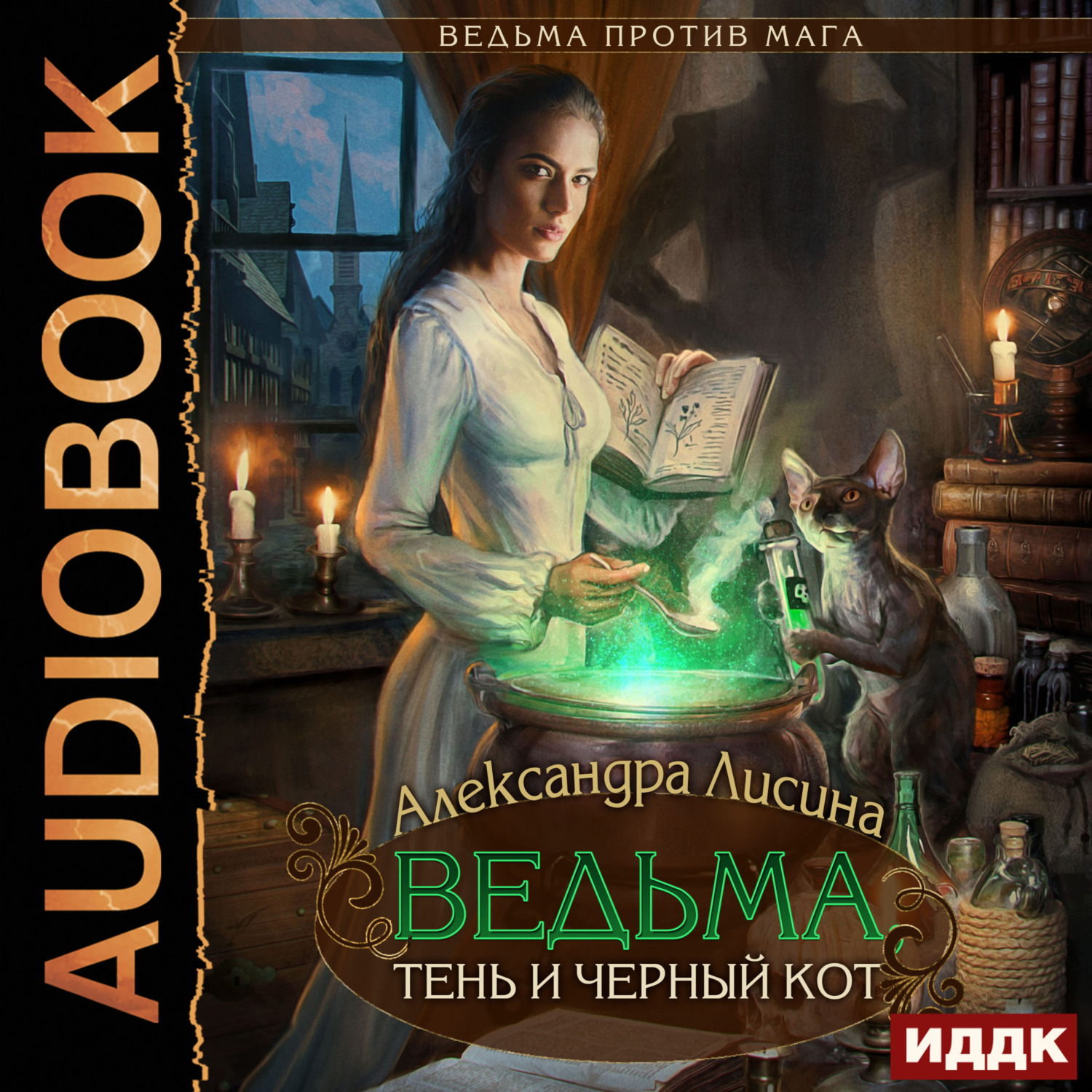 Обложка книги «Ведьма против мага. Книга 1. Ведьма, тень и черный кот»