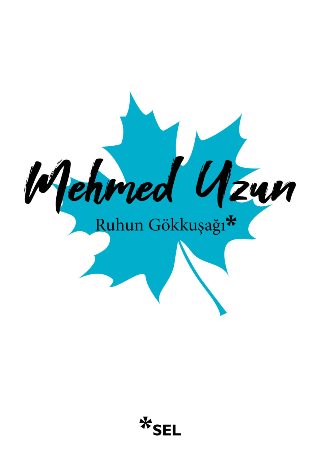 Обложка книги «Ruhun Gökkuşağı»