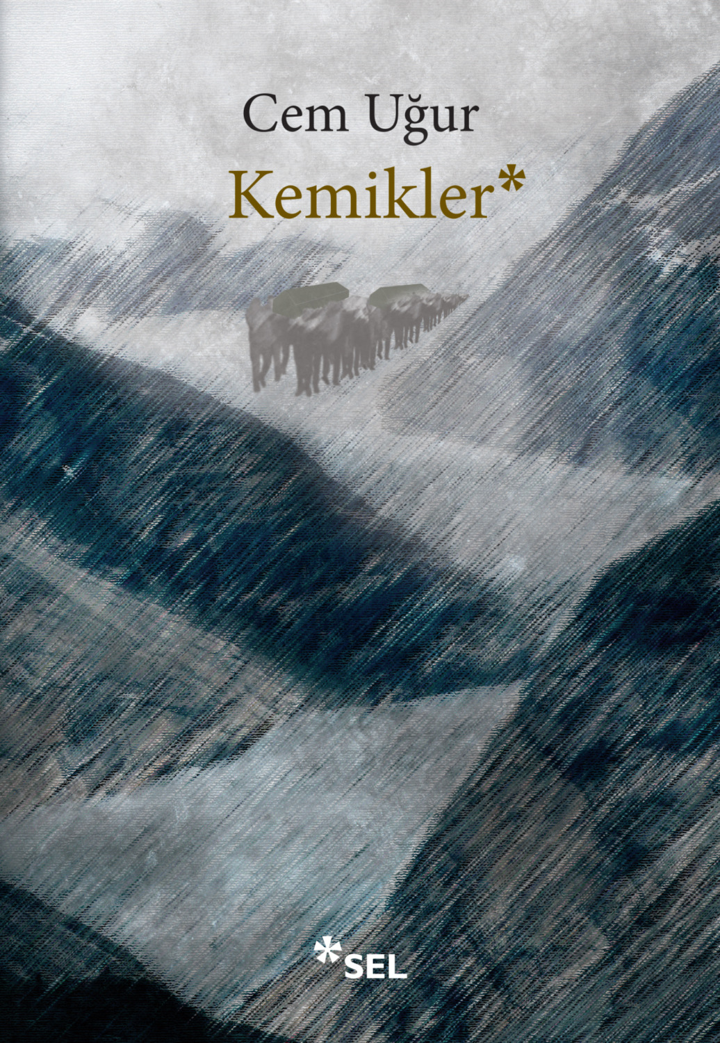 Обложка книги «Kemikler»