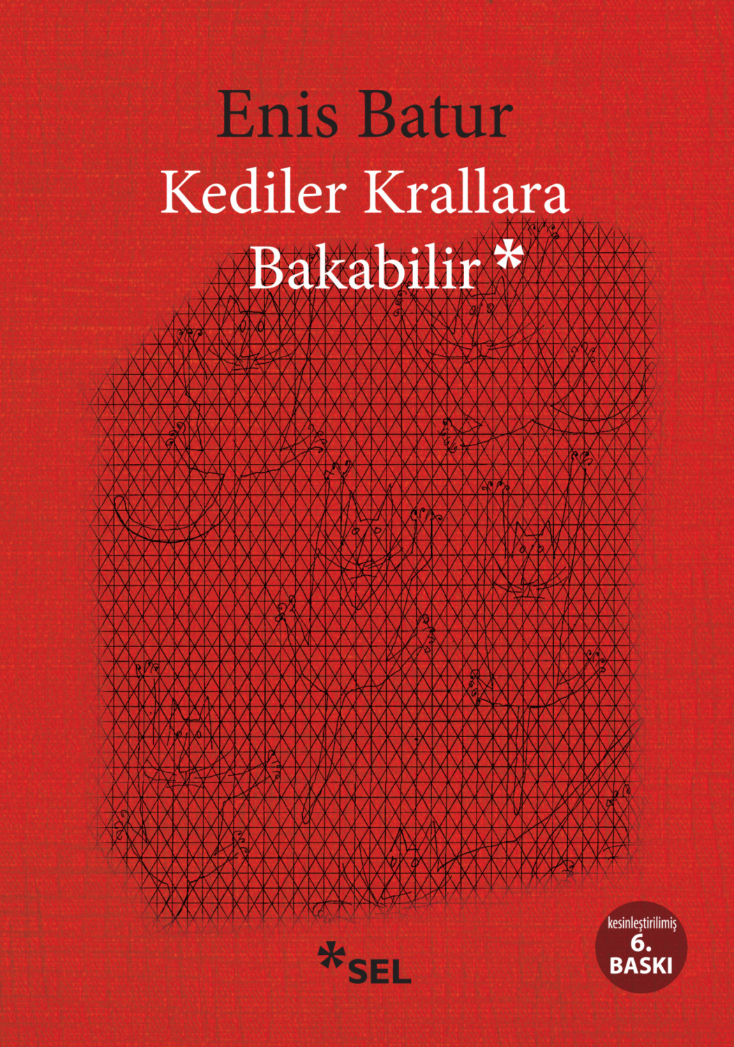 Обложка книги «Kediler Krallara Bakabilir»