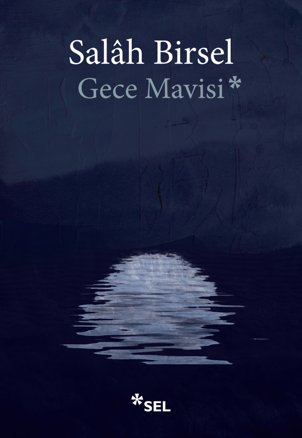 Обложка книги «Gece Mavisi»