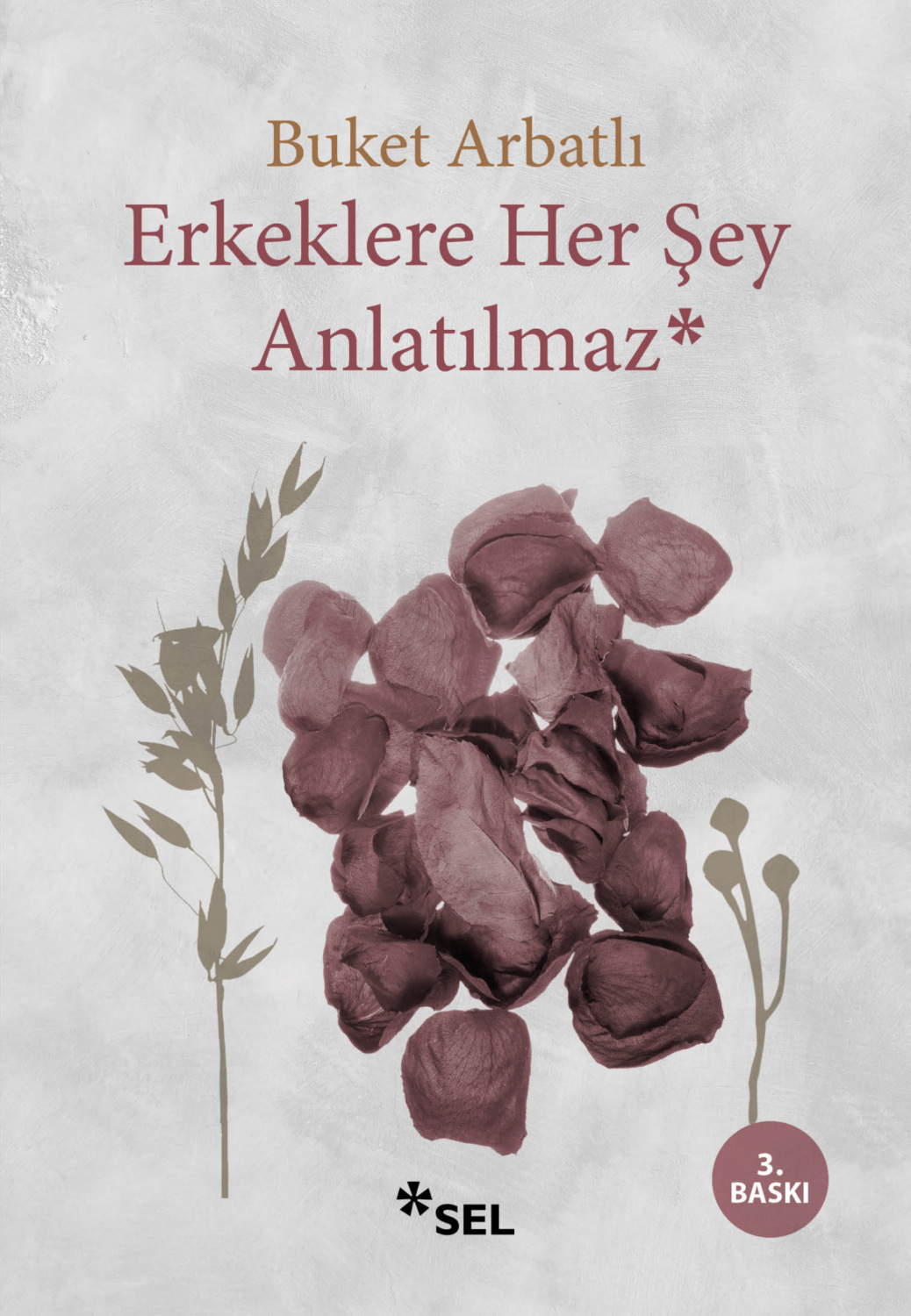 Обложка книги «Erkeklere Her Şey Anlatılmaz»