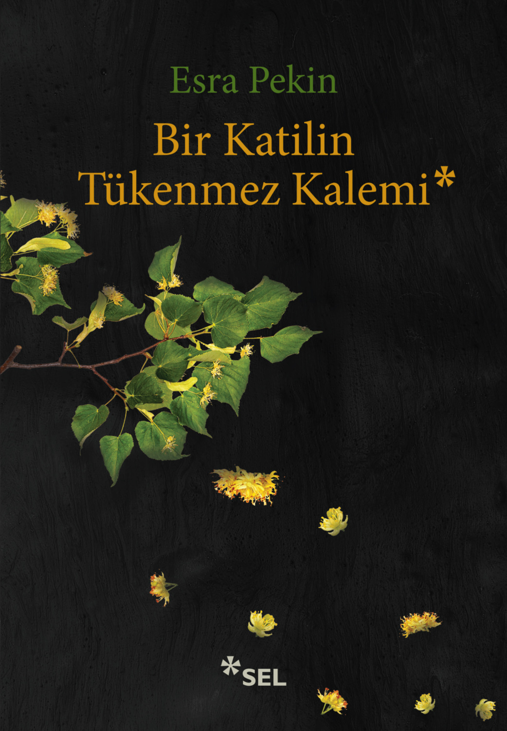 Обложка книги «Bir Katilin Tükenmez Kalemi»