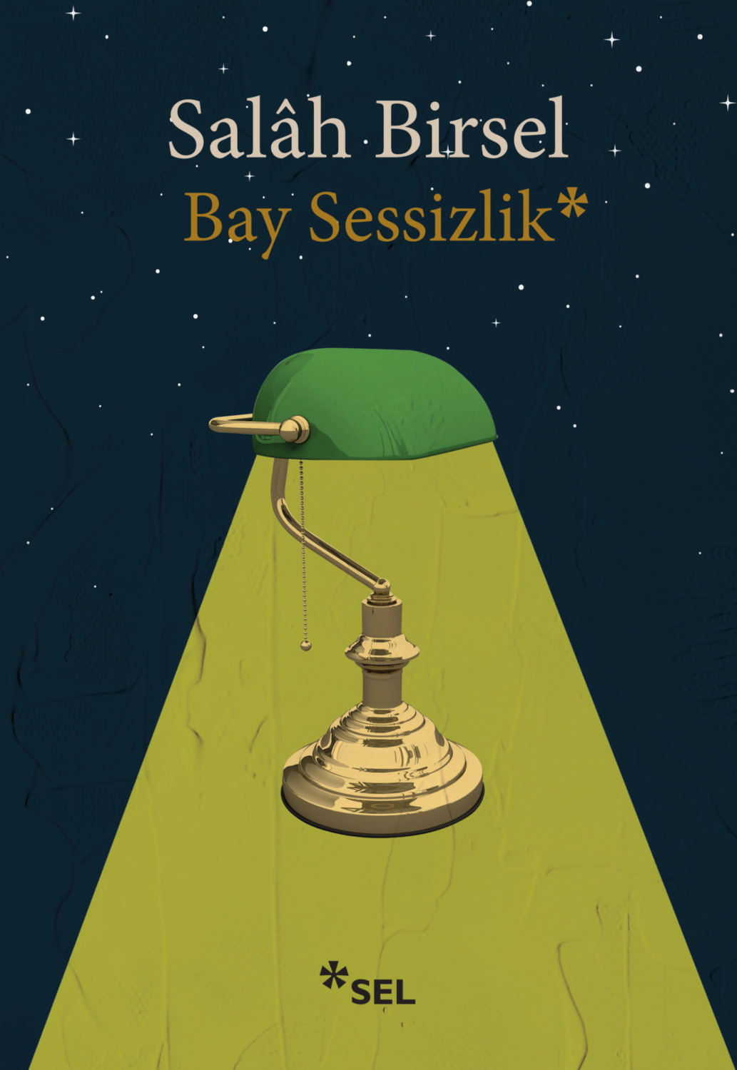 Обложка книги «Bay Sessizlik»