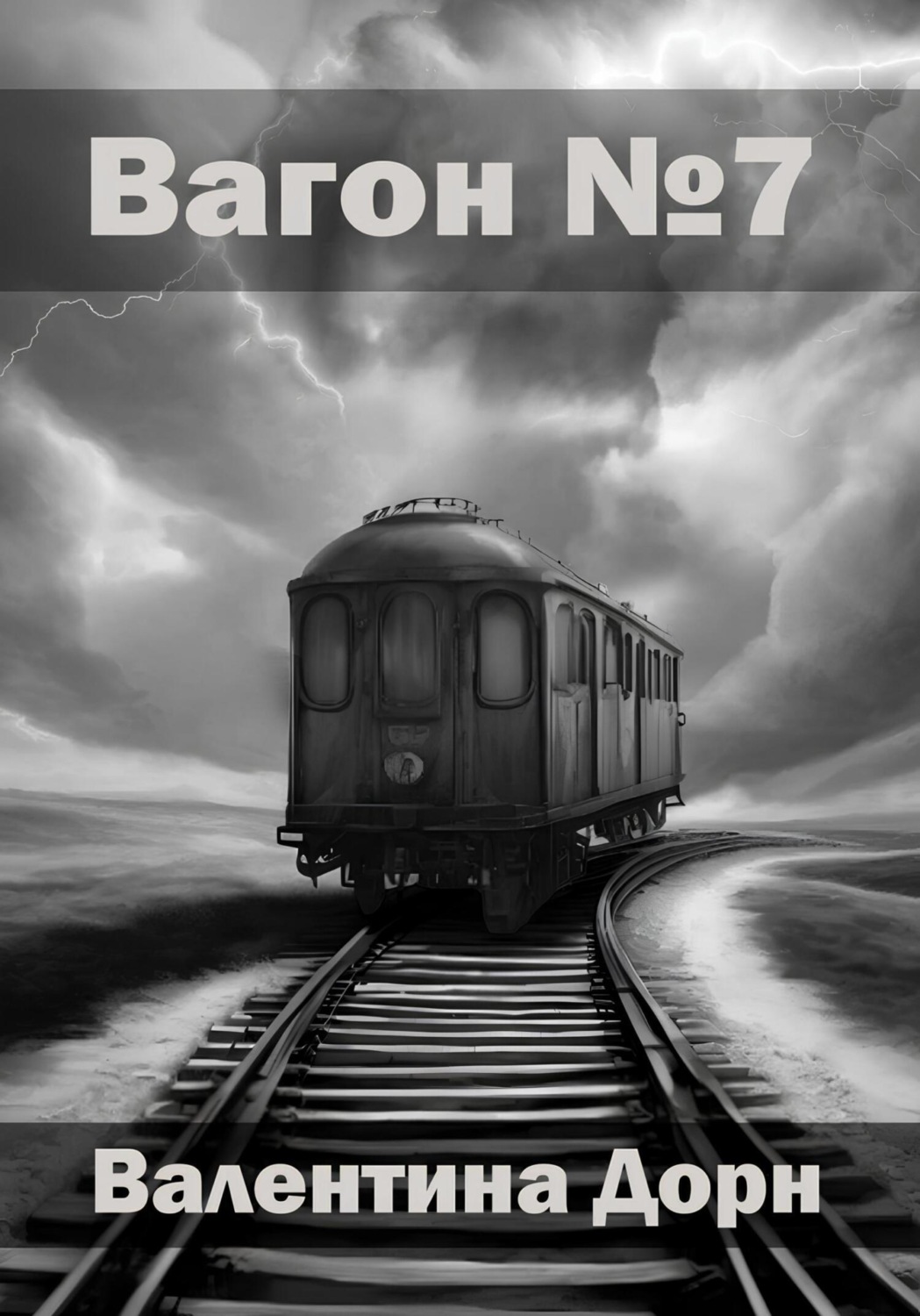 Обложка книги «Вагон номер семь»