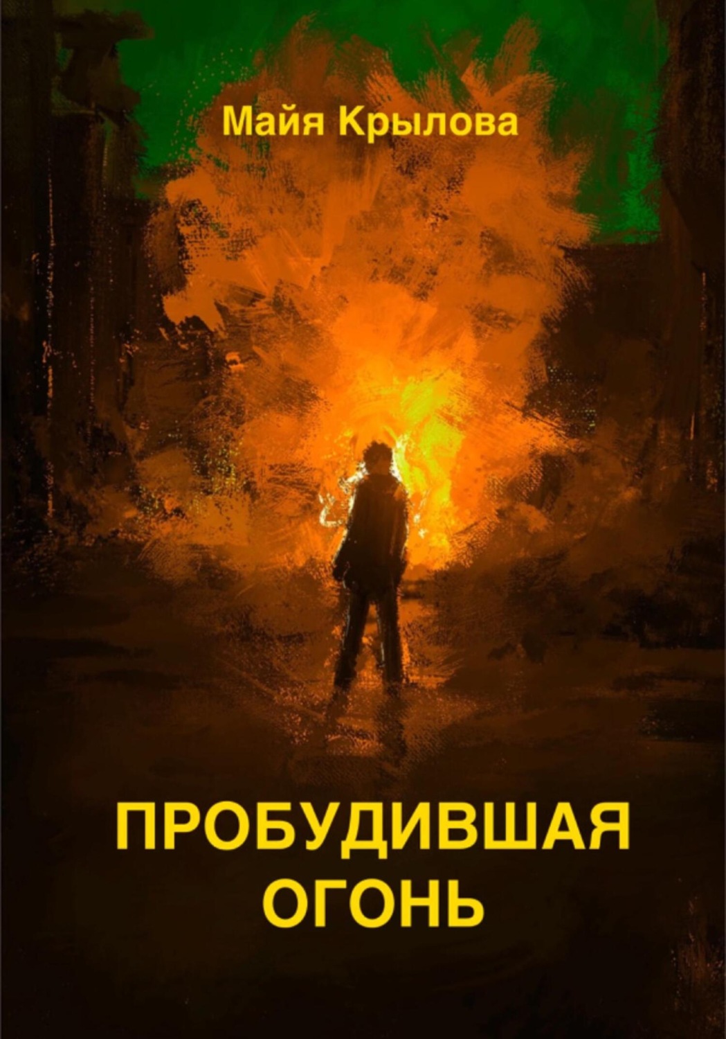 Обложка книги «Пробудившая огонь»