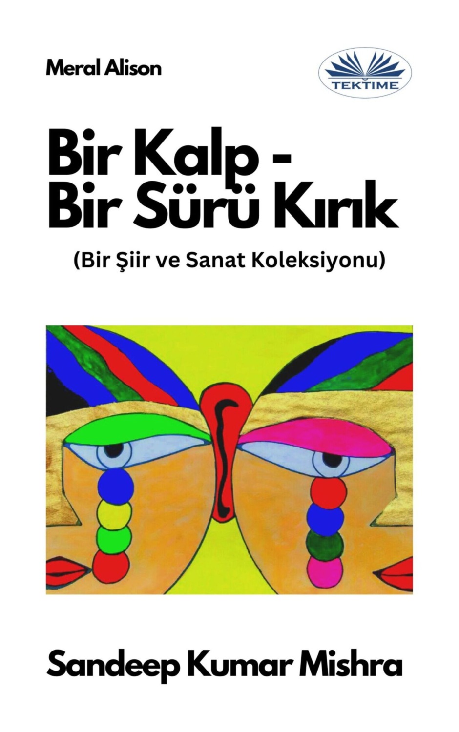 Обложка книги «Bir Kalp-Bir Sürü Kırık»