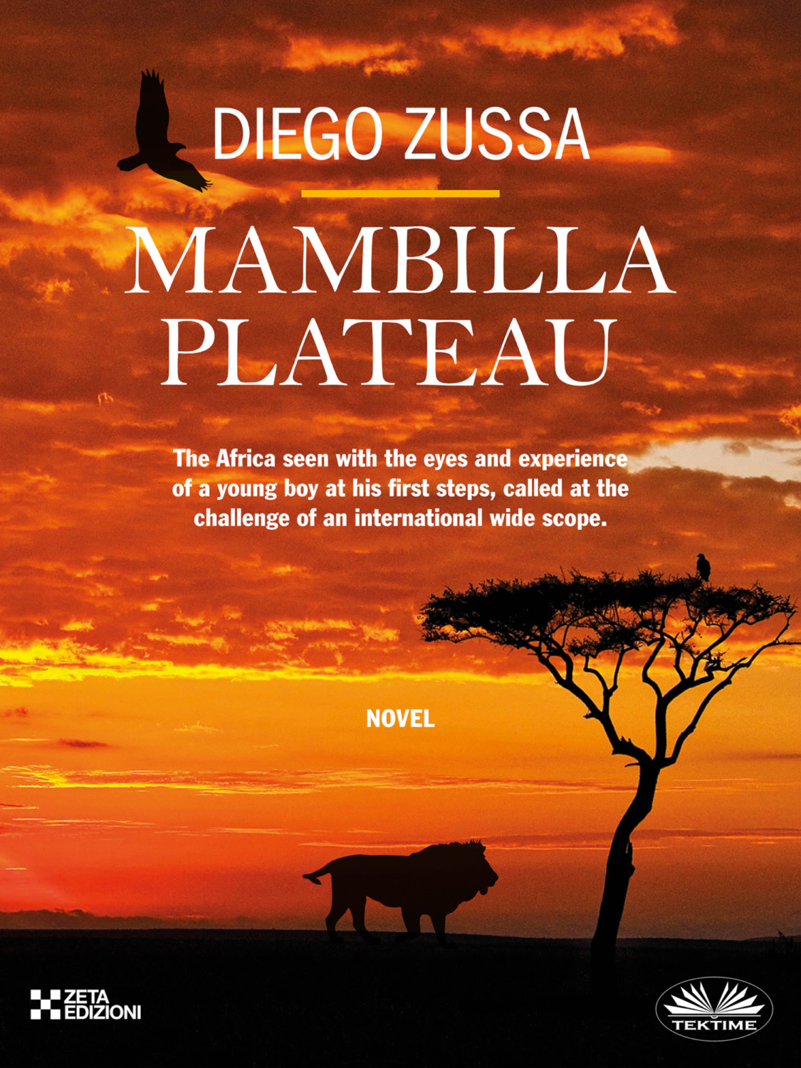 Обложка книги «Mambilla Plateau»