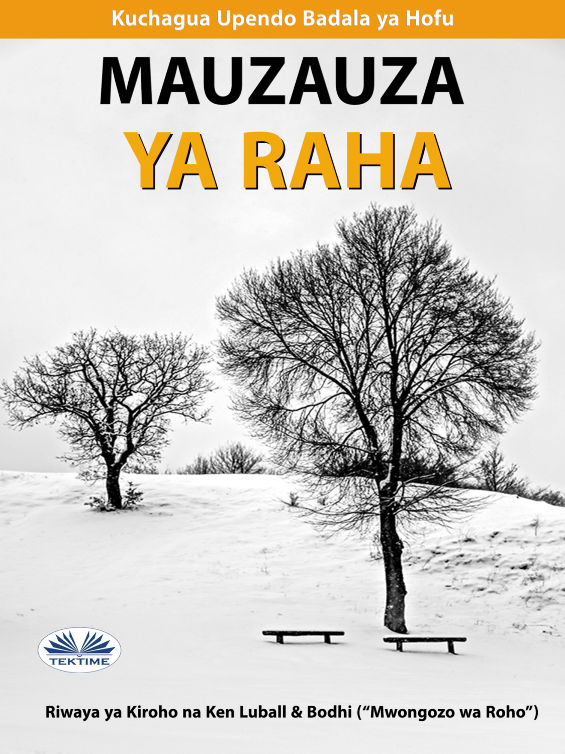 Обложка книги «Mauzauza Ya Raha»