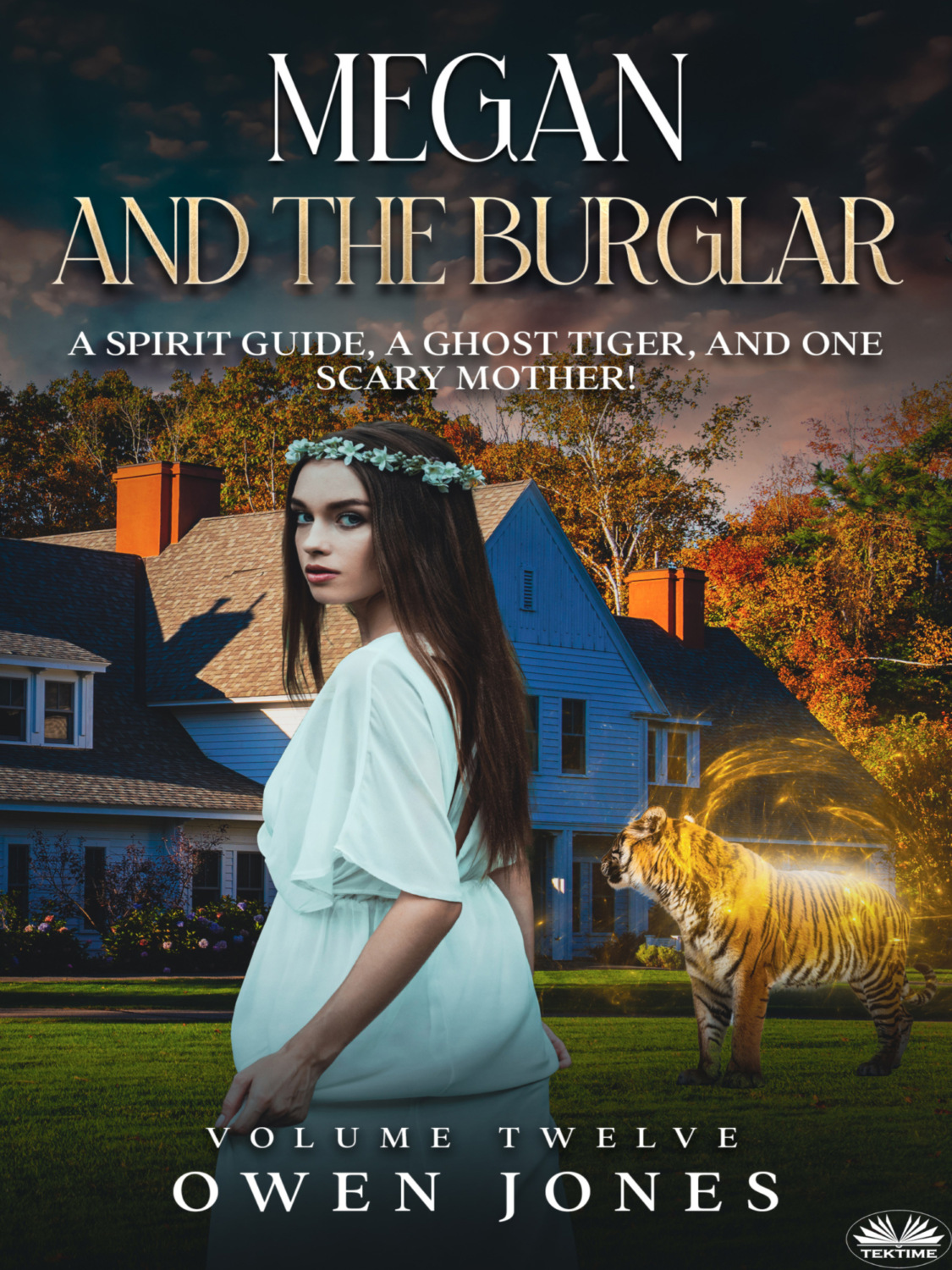 Обложка книги «Megan And The Burglar»