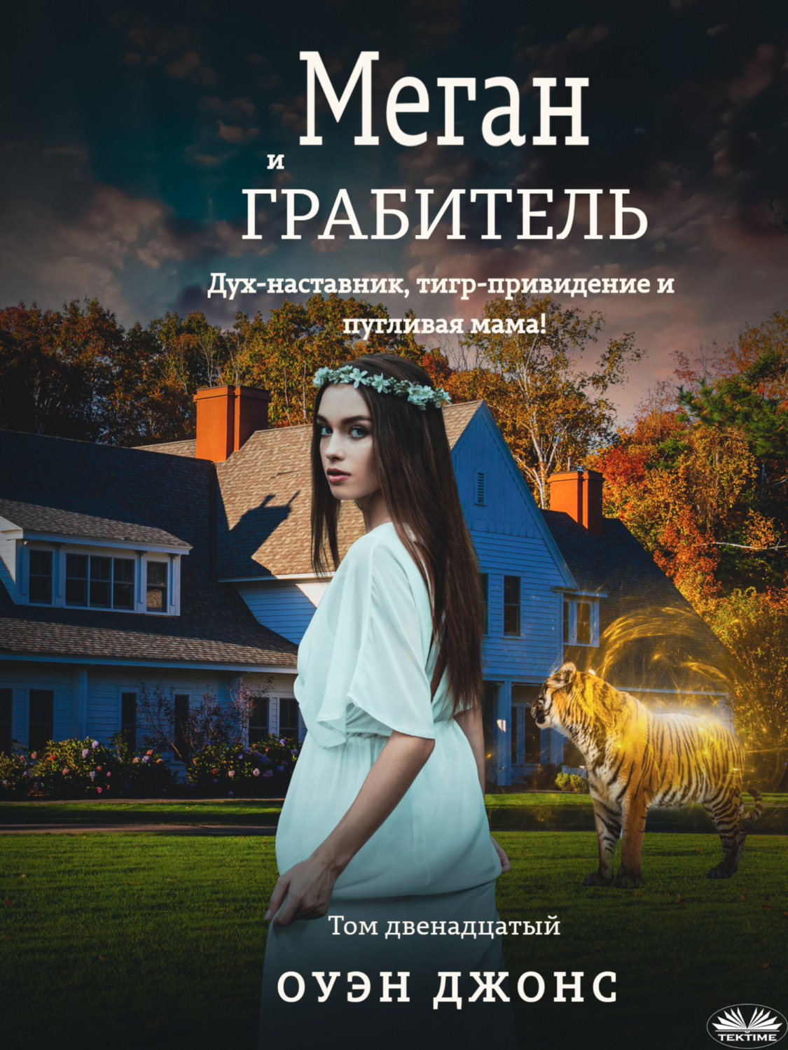 Обложка книги «Меган и грабитель»