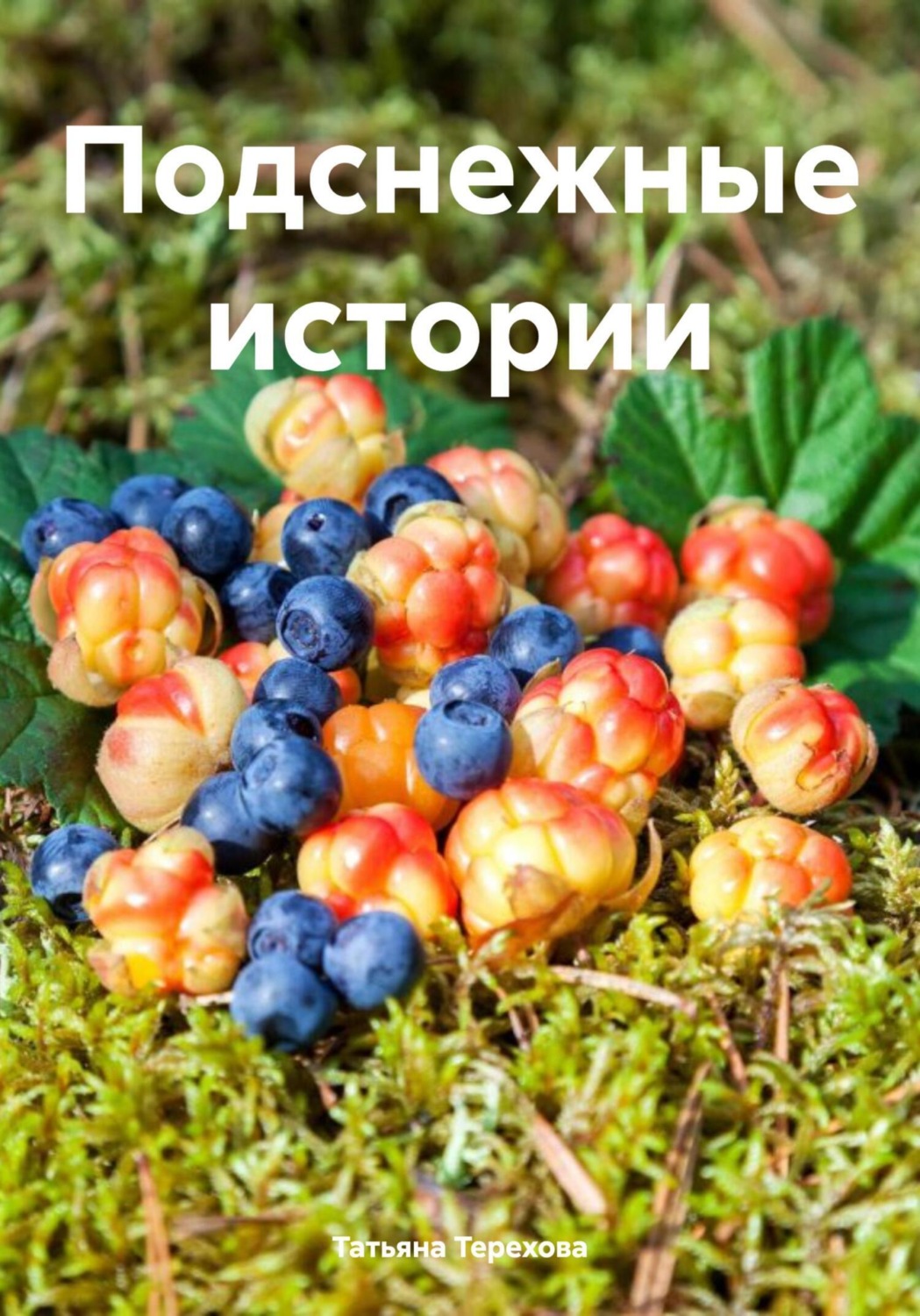 Обложка книги «Подснежные истории»