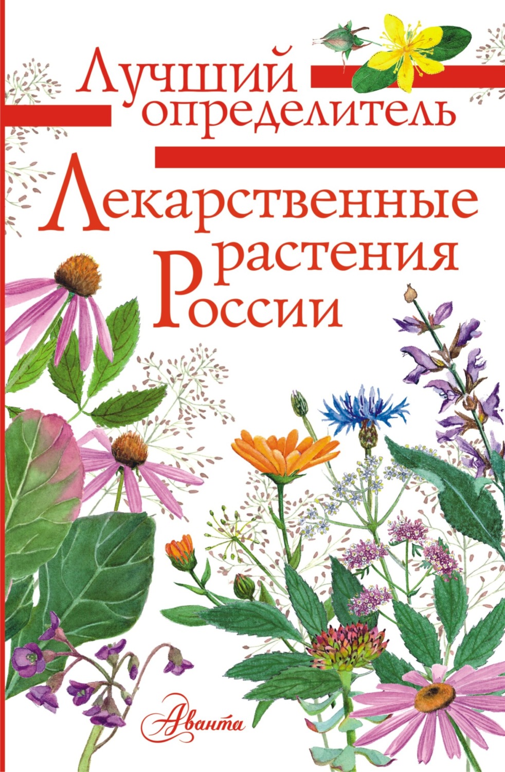 Обложка книги «Лекарственные растения России»