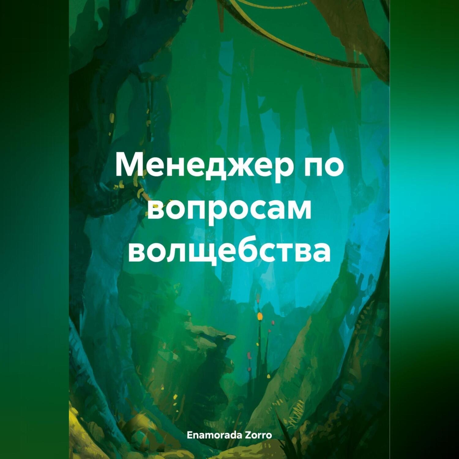 Обложка книги «Менеджер по вопросам волщебства»