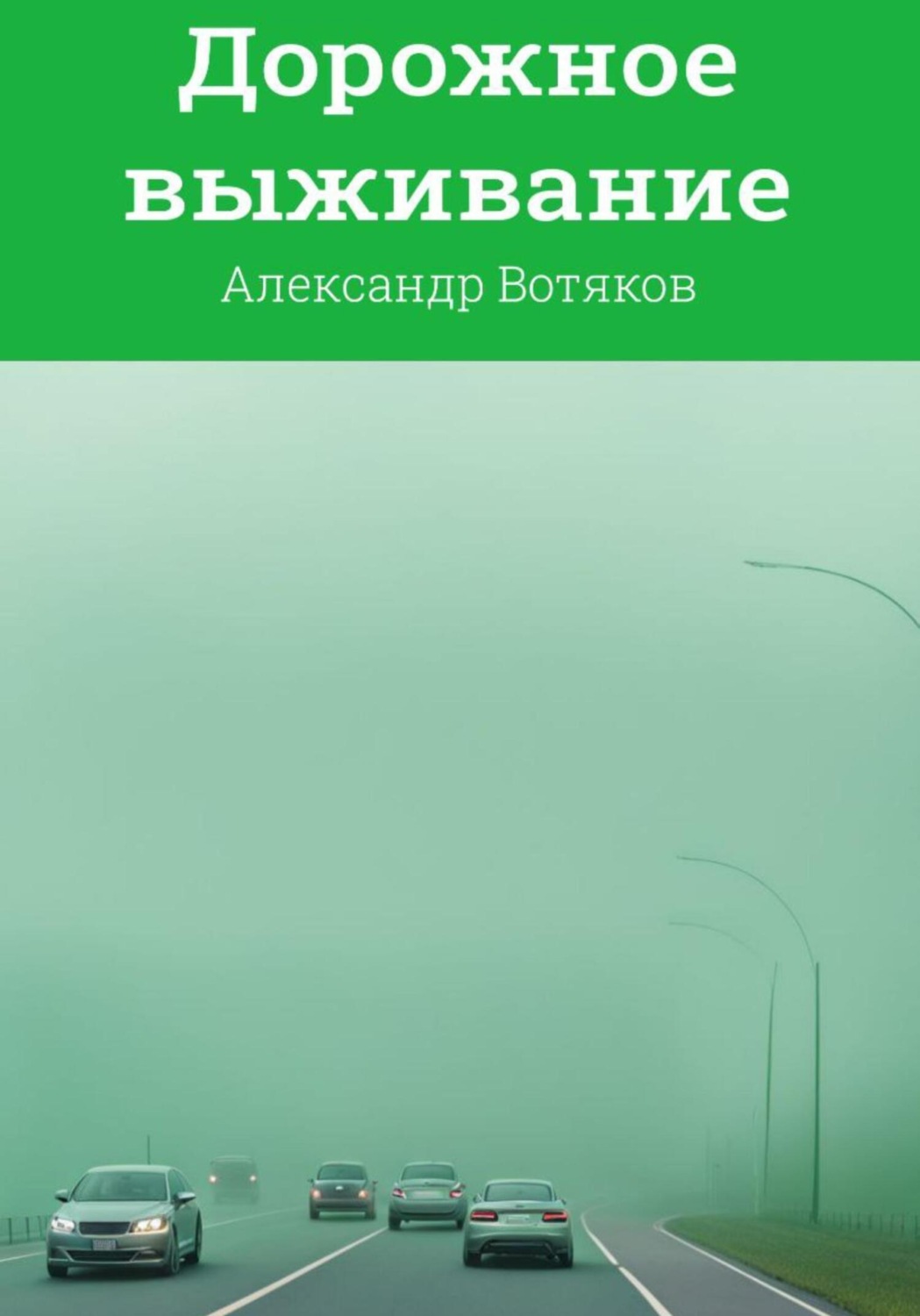 Обложка книги «Дорожное выживание»