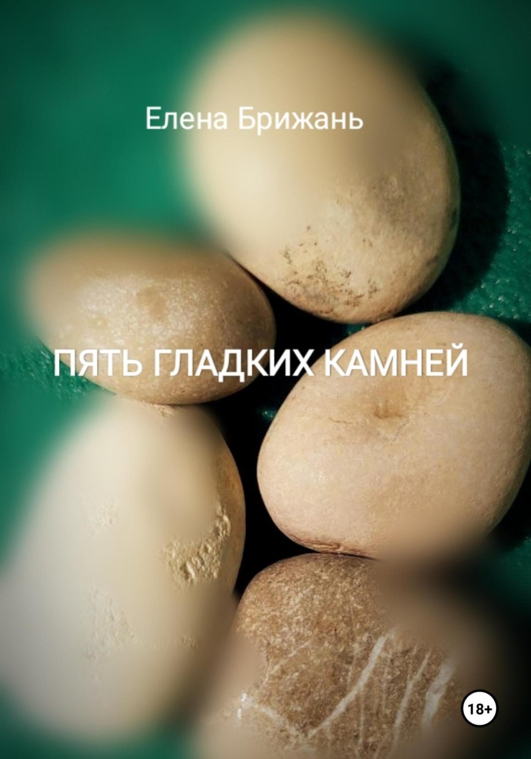 Обложка книги «Пять гладких камней»