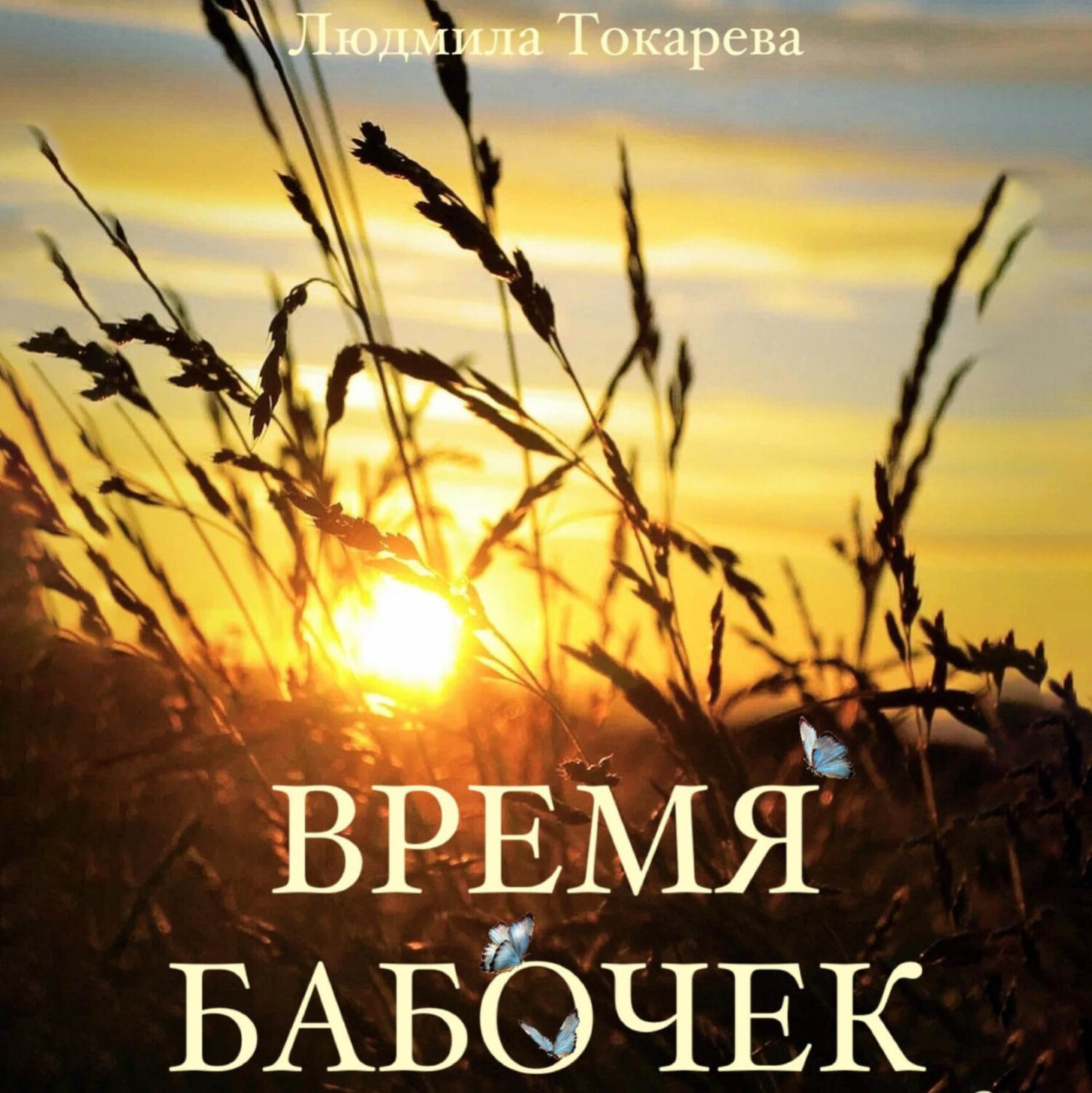 Обложка книги «Время бабочек»