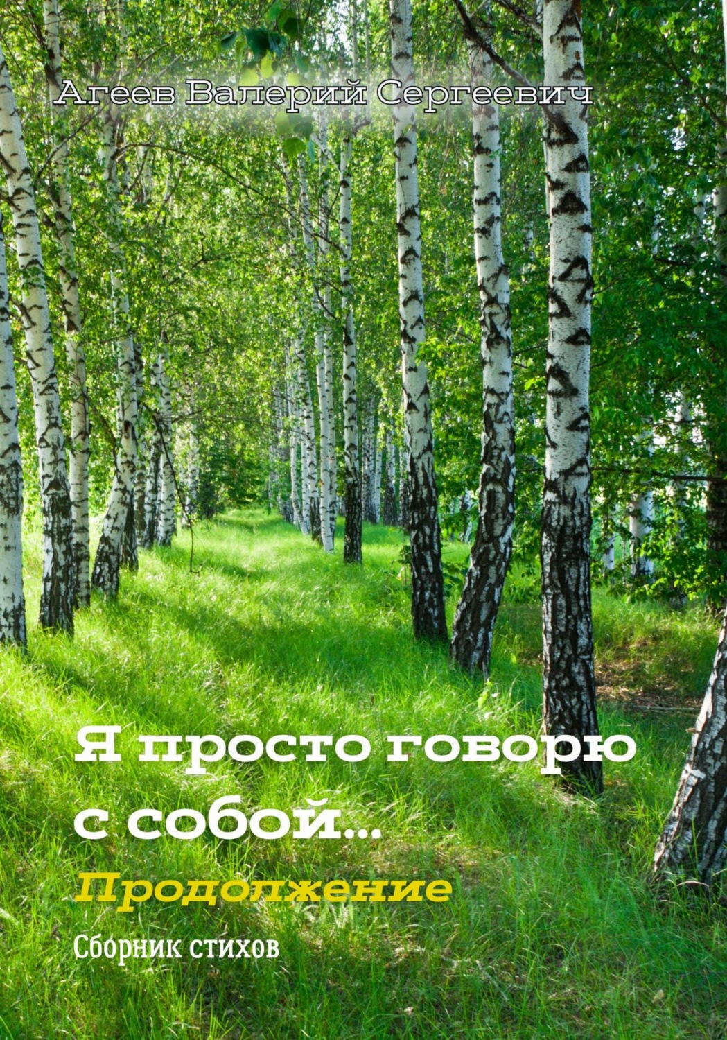 Обложка книги «Я просто говорю с собой… Продолжение»
