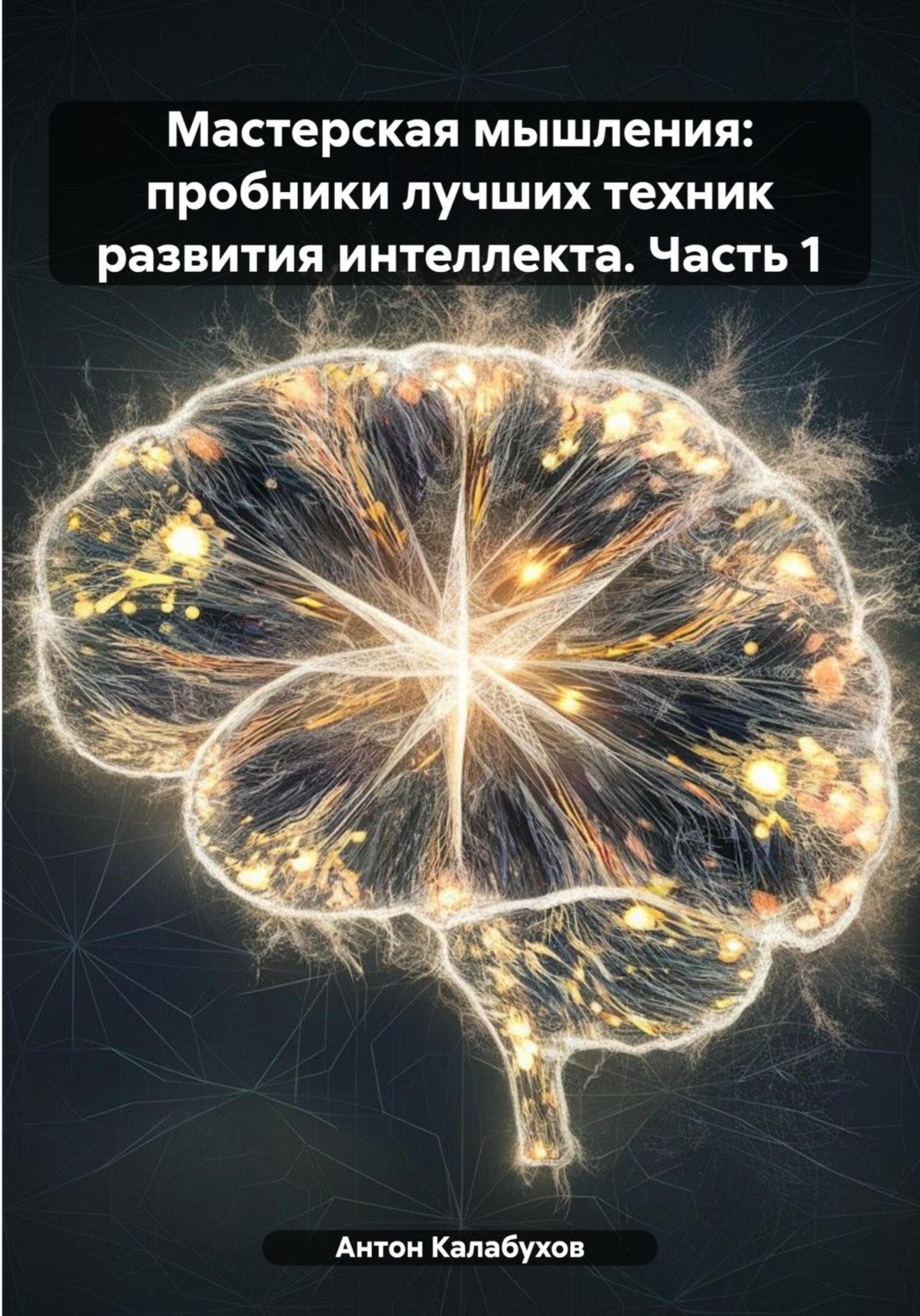 Обложка книги «Мастерская мышления: пробники лучших техник развития интеллекта. Часть 1»